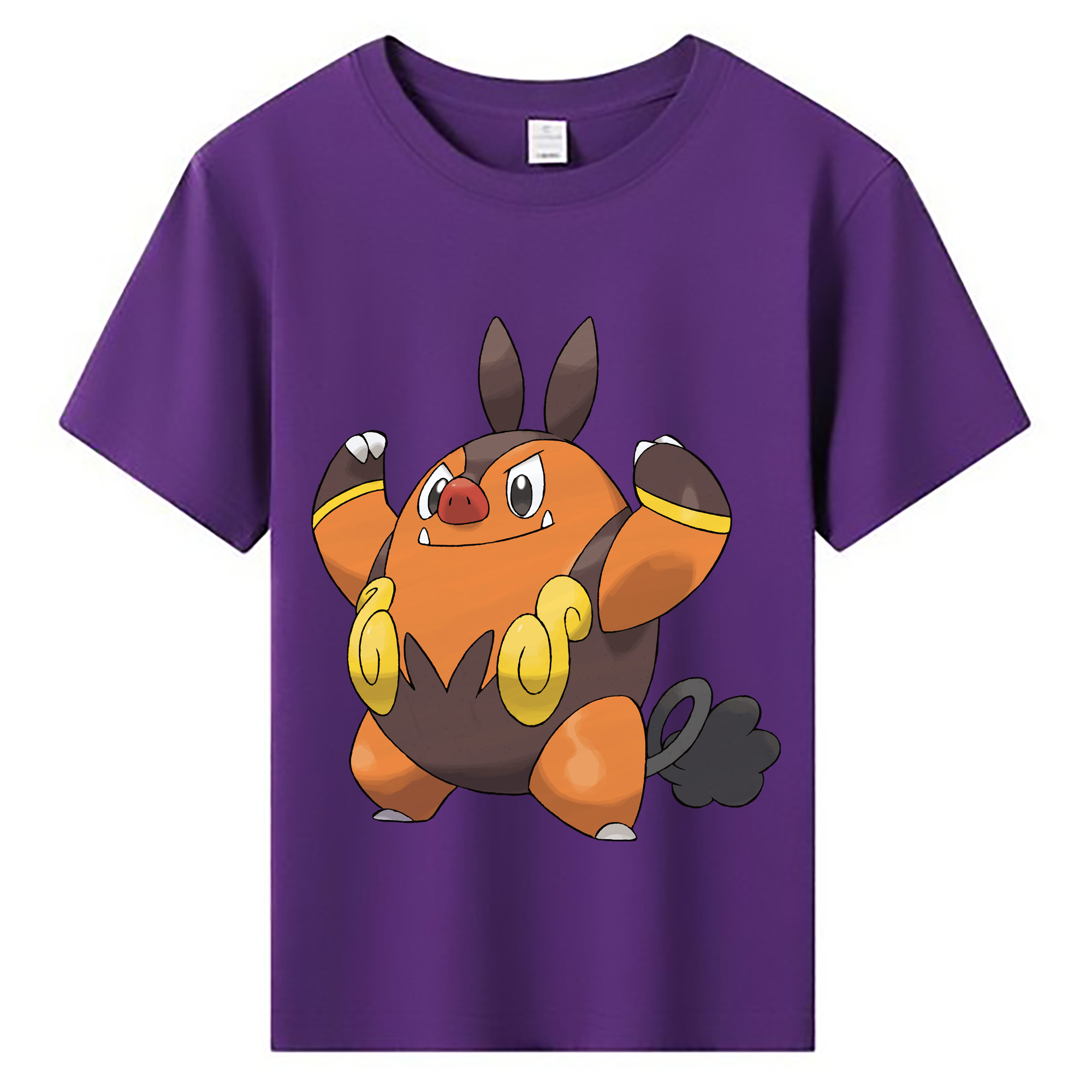 （画像用） ポケットモンスター Pokémon 綿100％キッズTシャツ（フロントプリント）