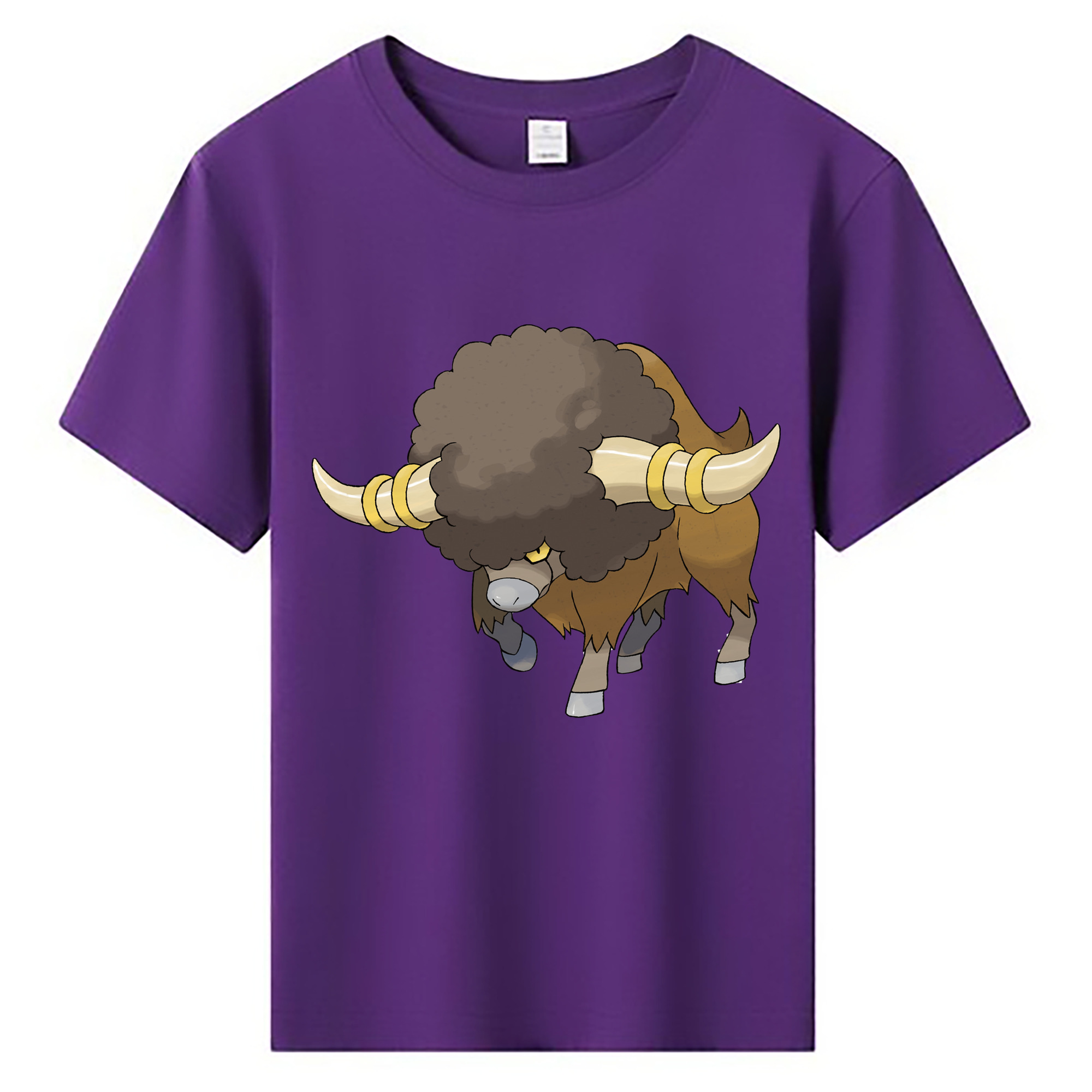 （画像用） ポケットモンスター Pokémon 綿100％キッズTシャツ（フロントプリント）