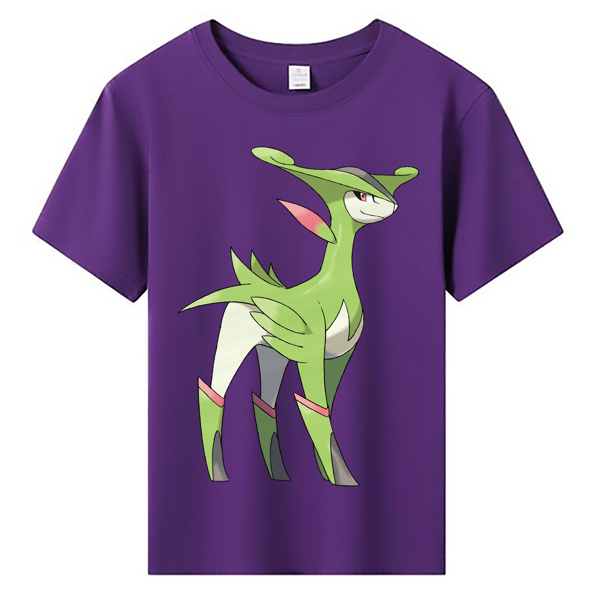 （画像用） ポケットモンスター Pokémon 綿100％キッズTシャツ（フロントプリント）