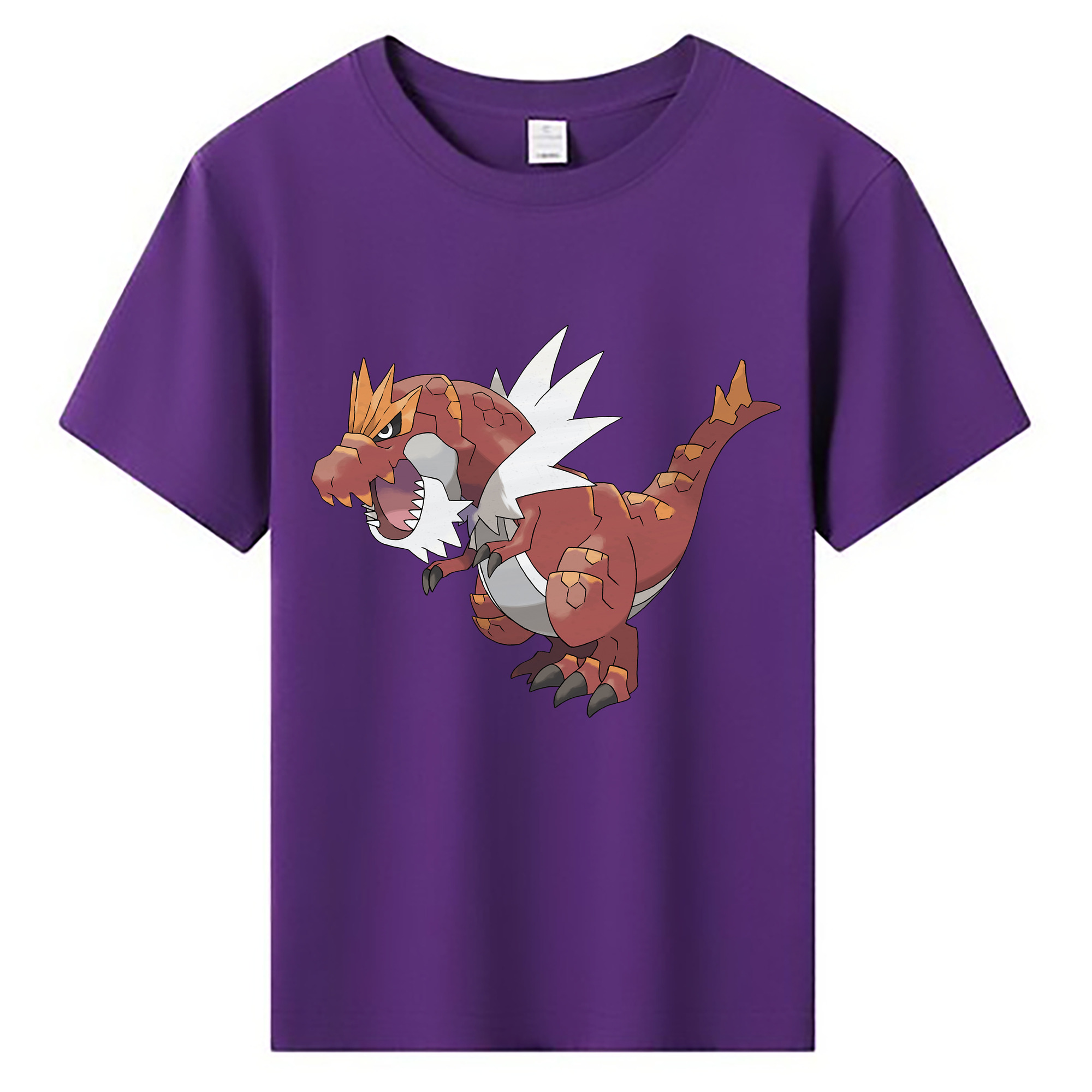 （画像用） ポケットモンスター Pokémon 綿100％キッズTシャツ（フロントプリント）