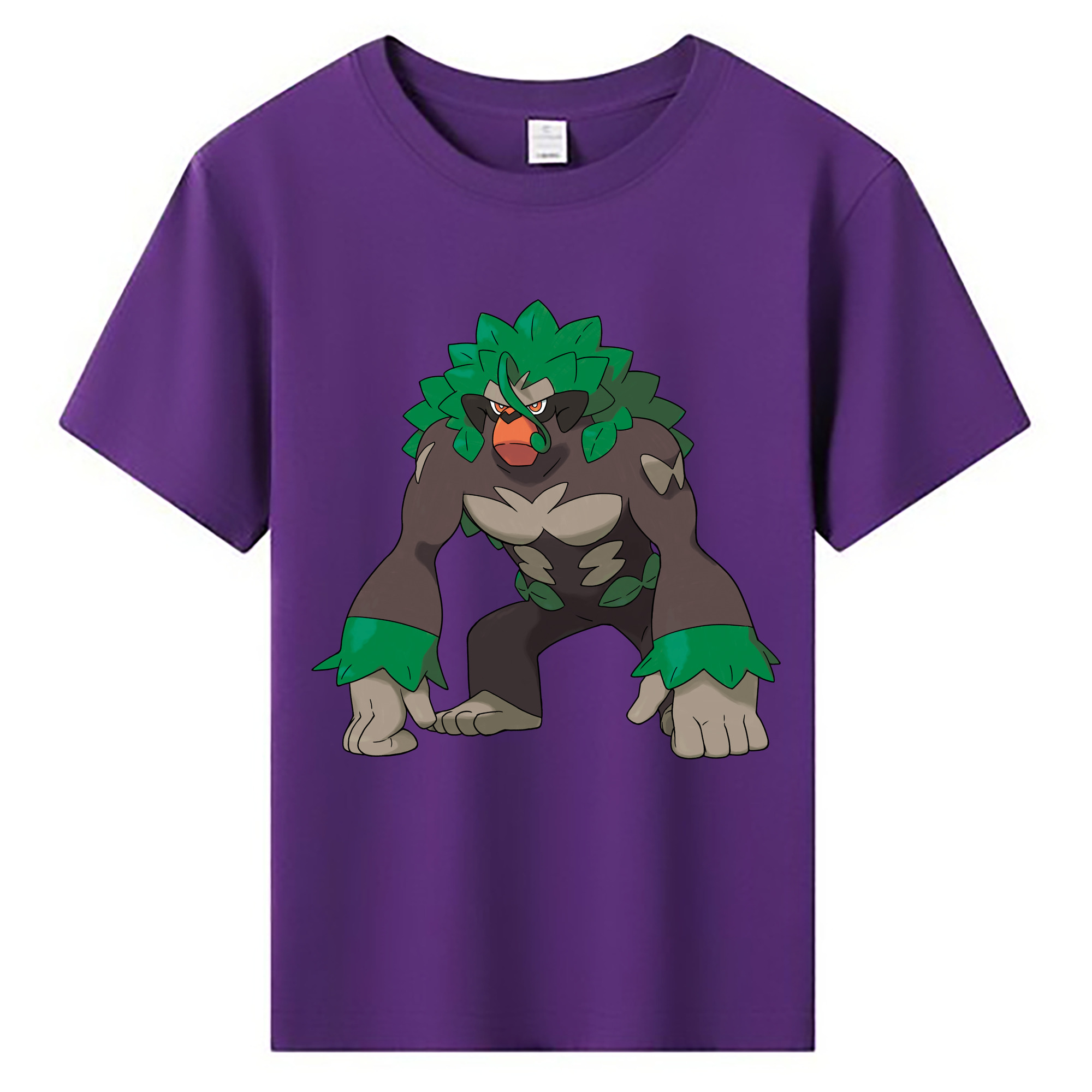 （画像用） ポケットモンスター Pokémon 綿100％キッズTシャツ（フロントプリント）