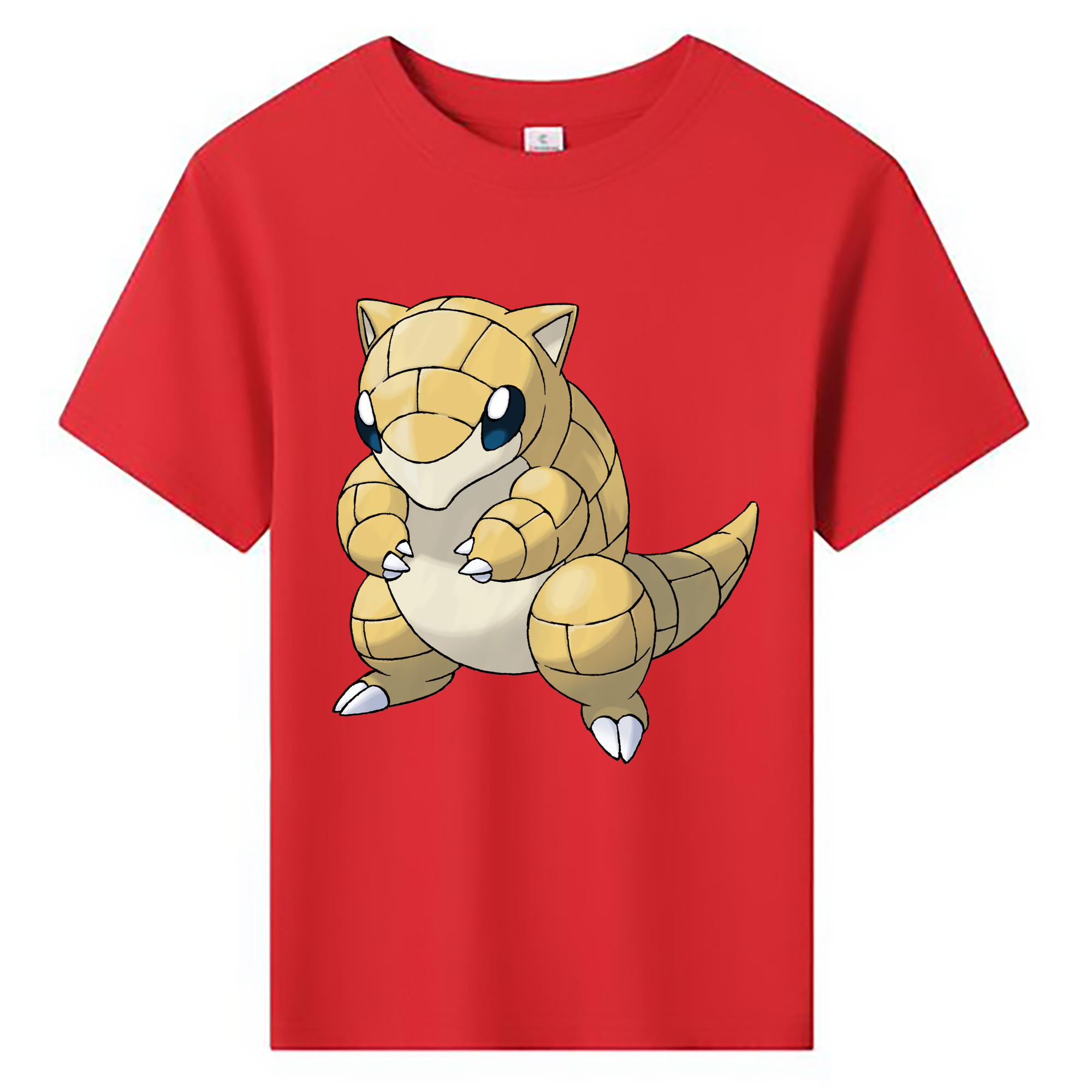 （画像用） ポケットモンスター Pokémon 綿100％キッズTシャツ（フロントプリント）
