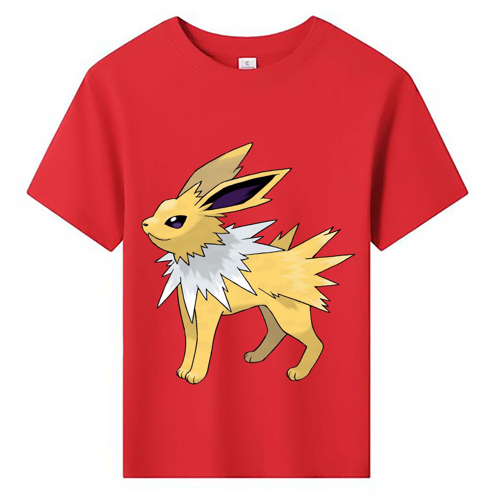 （画像用） ポケットモンスター Pokémon 綿100％キッズTシャツ（フロントプリント）
