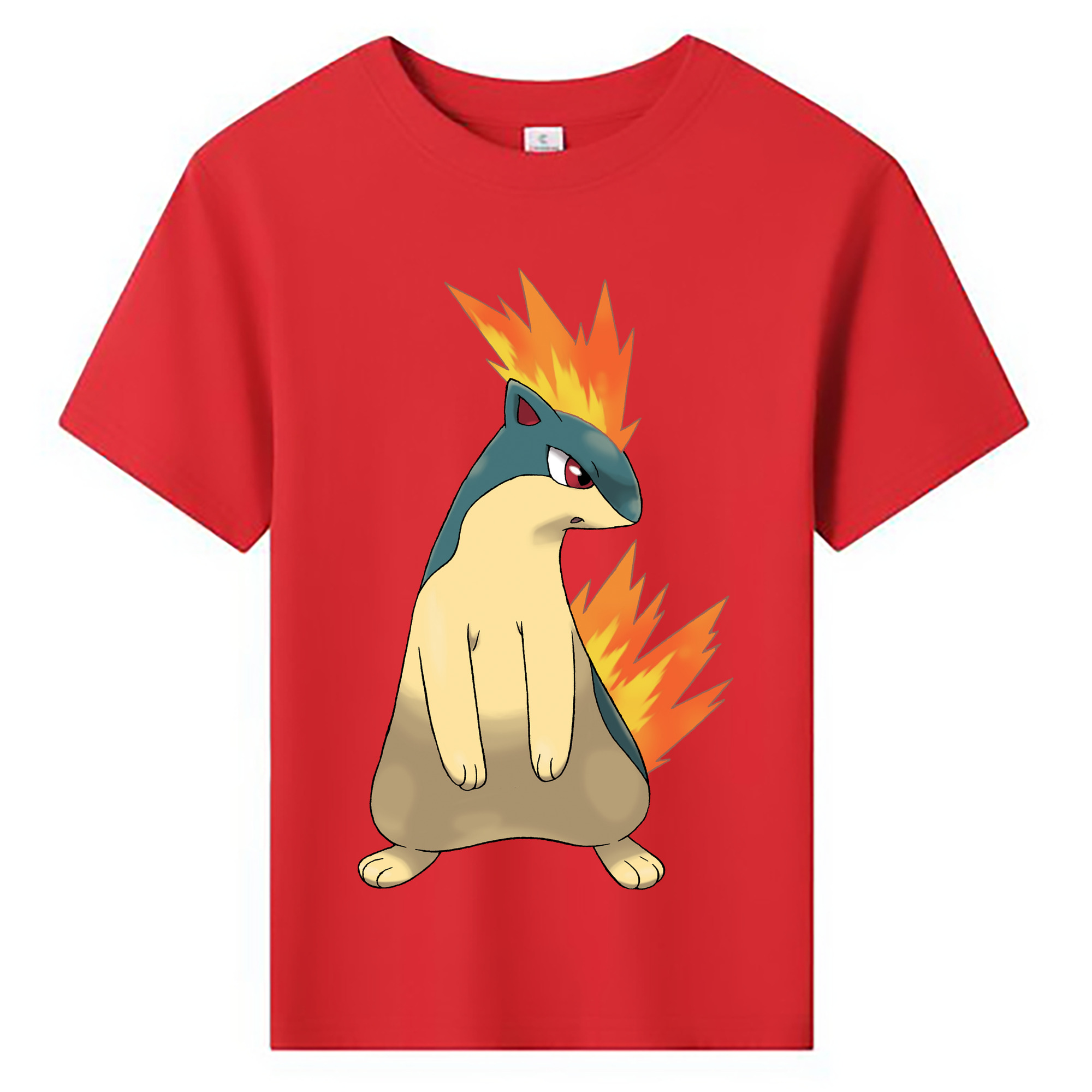 （画像用） ポケットモンスター Pokémon 綿100％キッズTシャツ（フロントプリント）