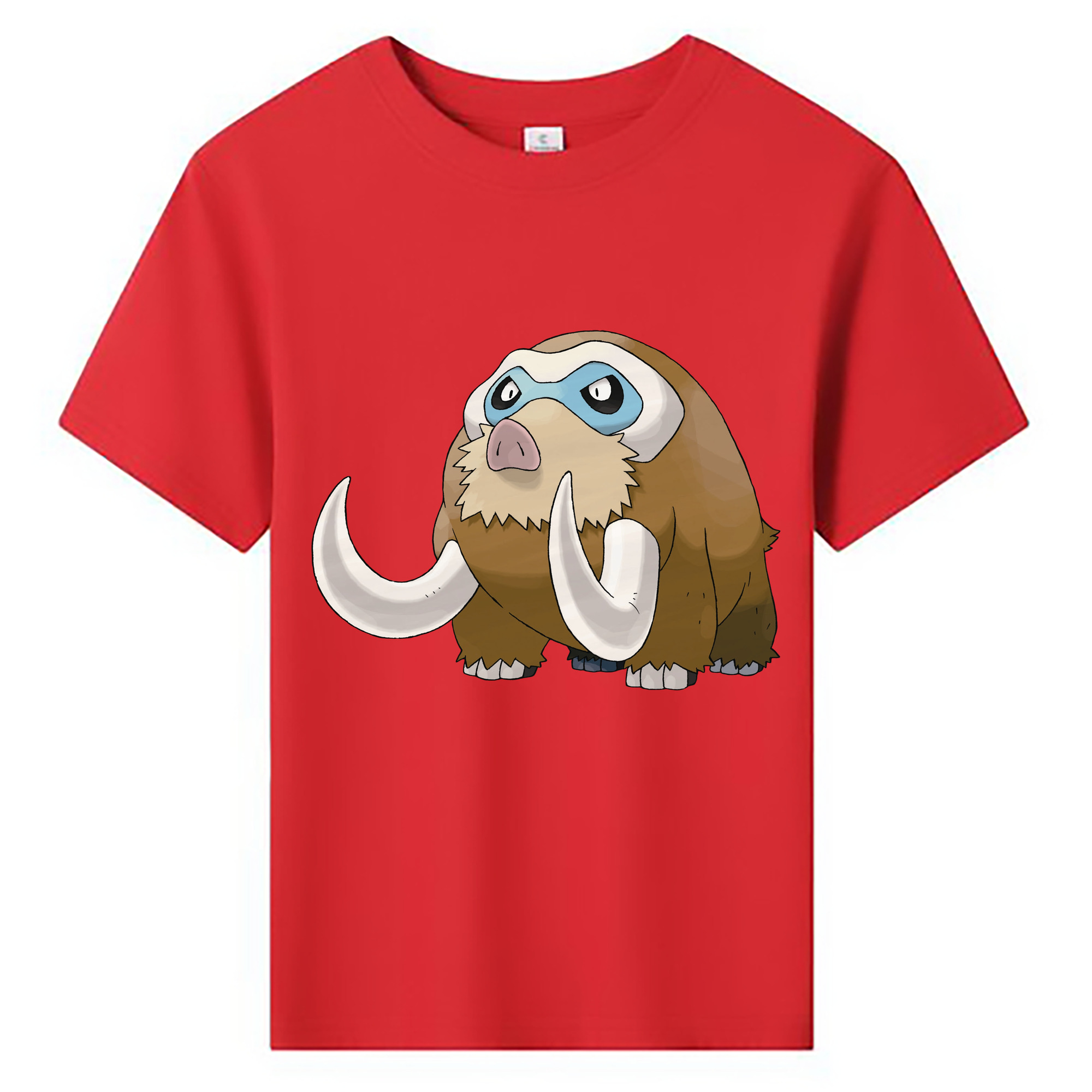 （画像用） ポケットモンスター Pokémon 綿100％キッズTシャツ（フロントプリント）