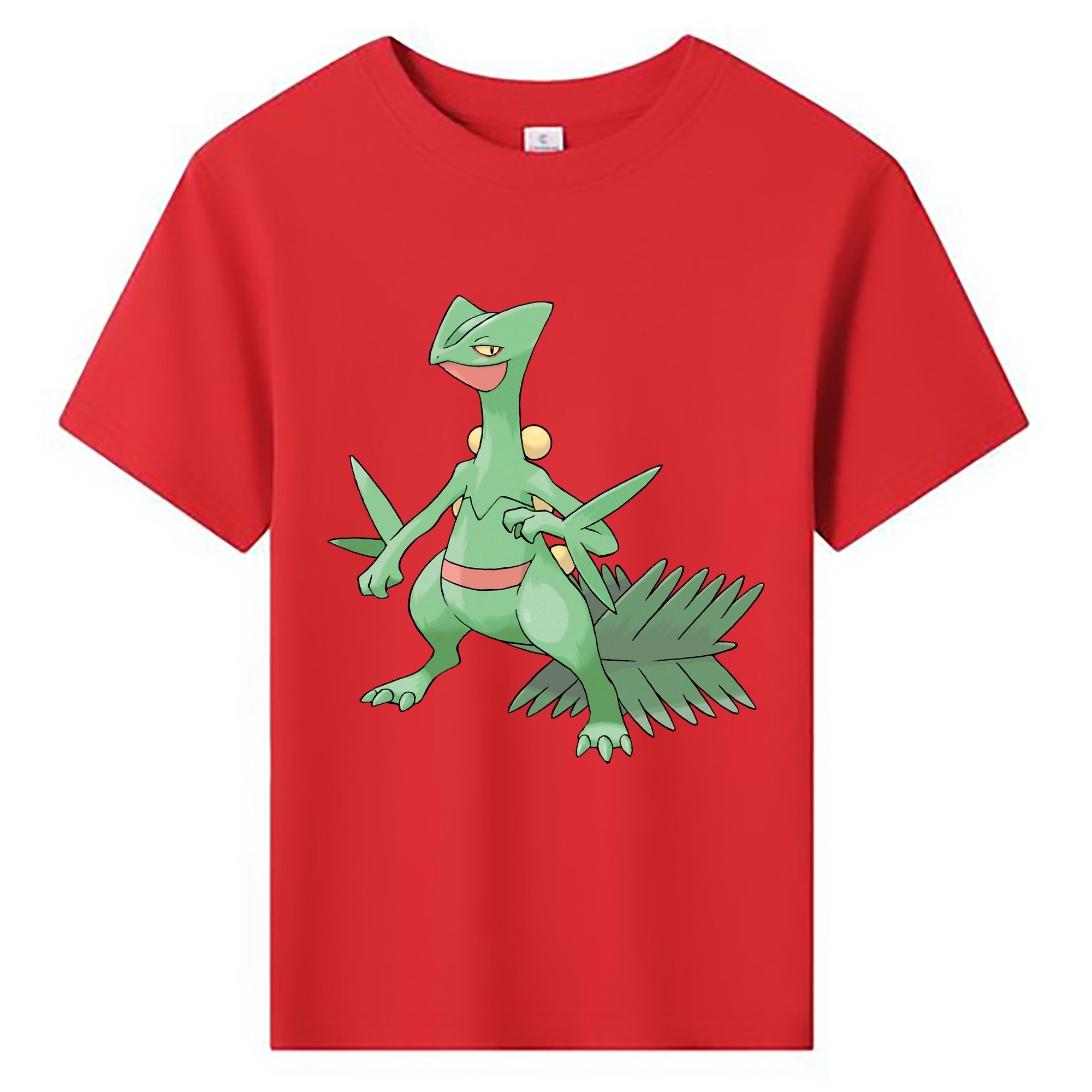 （画像用） ポケットモンスター Pokémon 綿100％キッズTシャツ（フロントプリント）