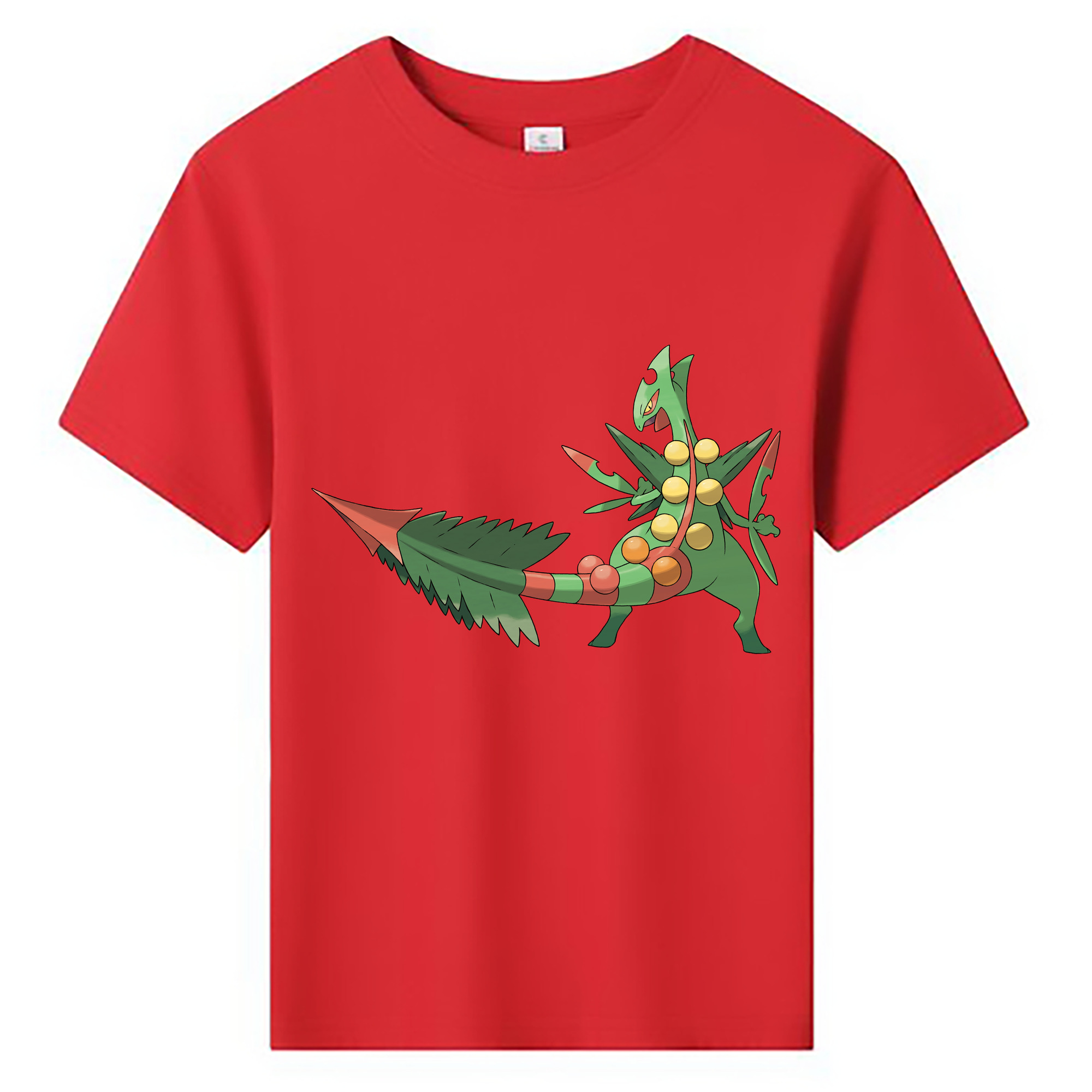 （画像用） ポケットモンスター Pokémon 綿100％キッズTシャツ（フロントプリント）