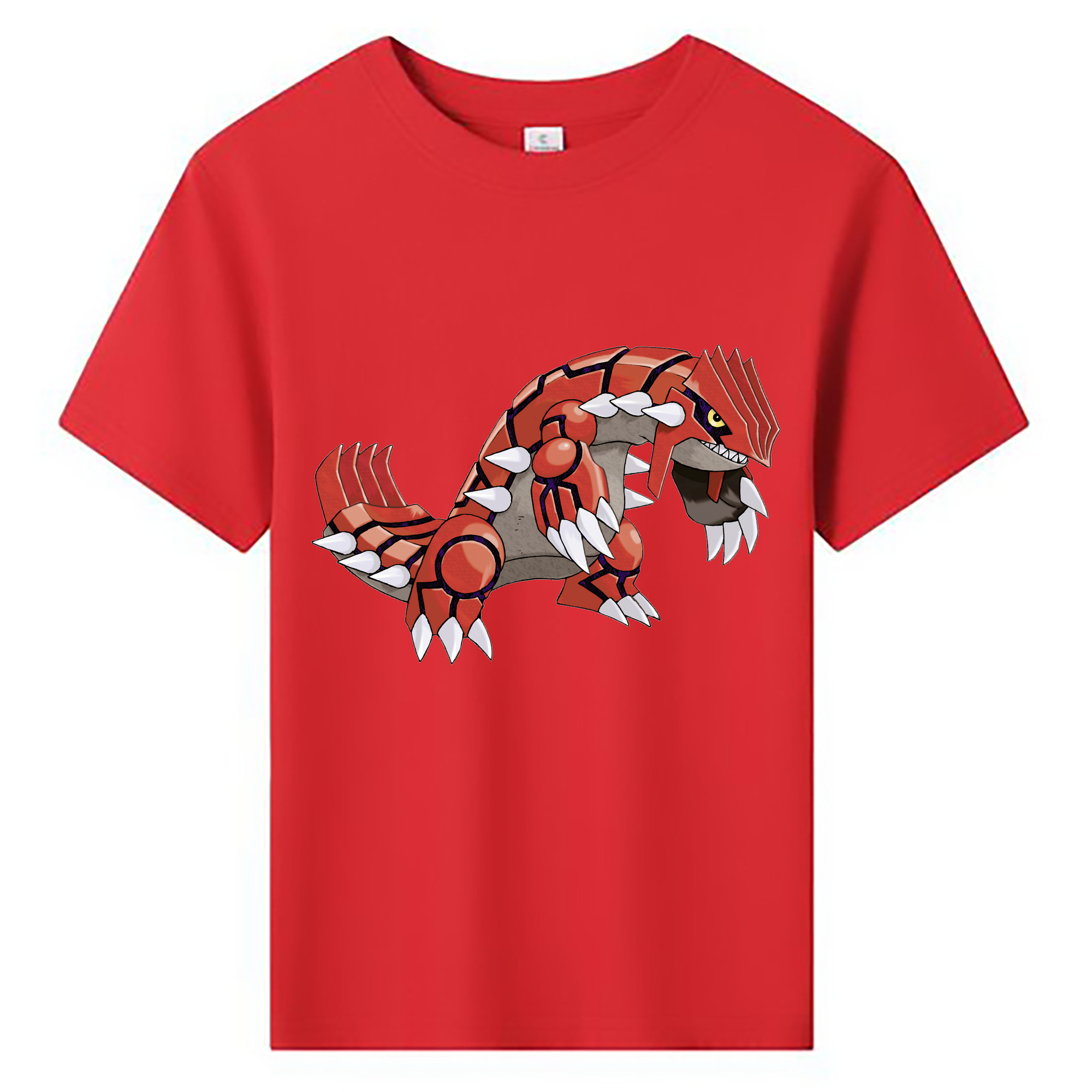 （画像用） ポケットモンスター Pokémon 綿100％キッズTシャツ（フロントプリント）