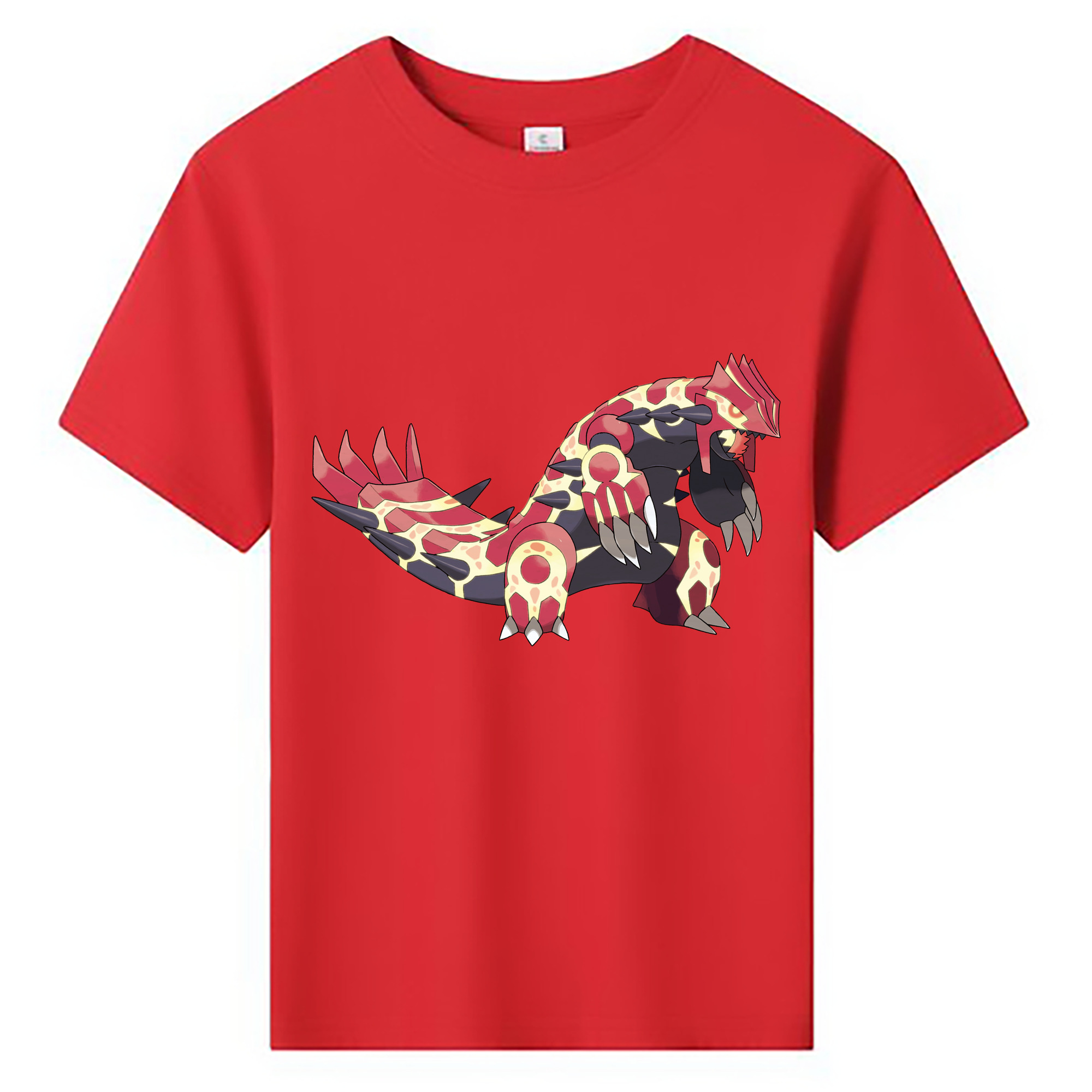 （画像用） ポケットモンスター Pokémon 綿100％キッズTシャツ（フロントプリント）
