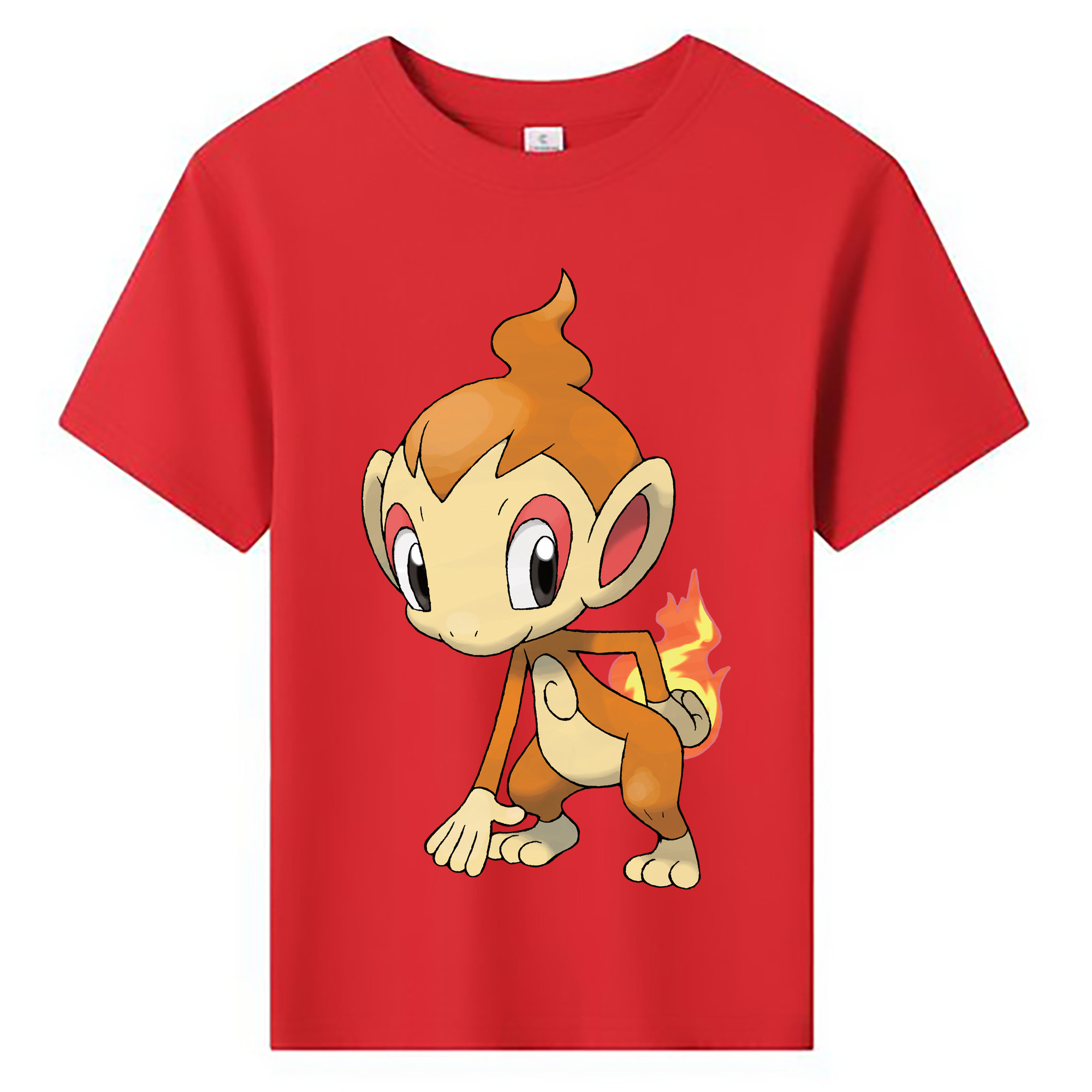 （画像用） ポケットモンスター Pokémon 綿100％キッズTシャツ（フロントプリント）
