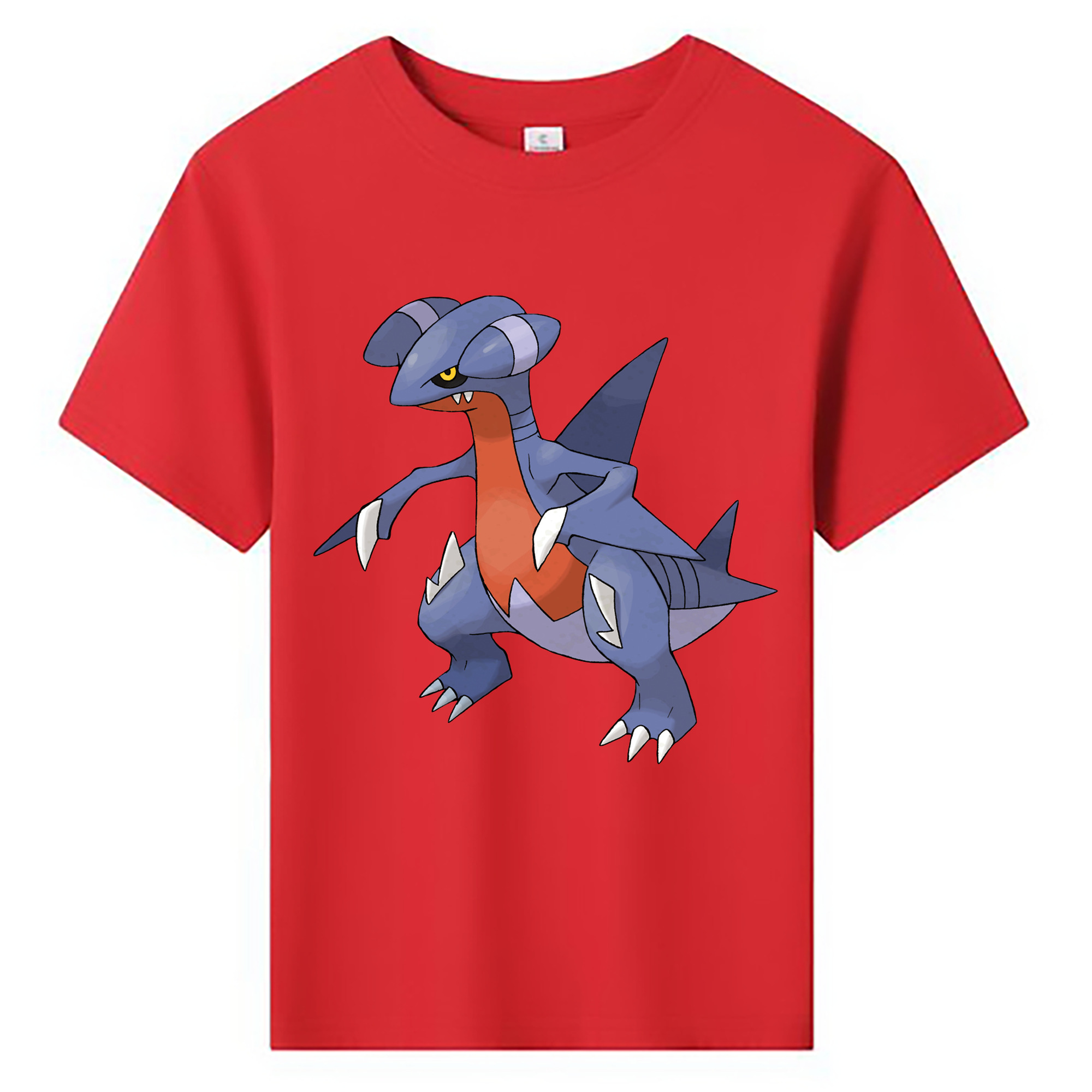 （画像用） ポケットモンスター Pokémon 綿100％キッズTシャツ（フロントプリント）