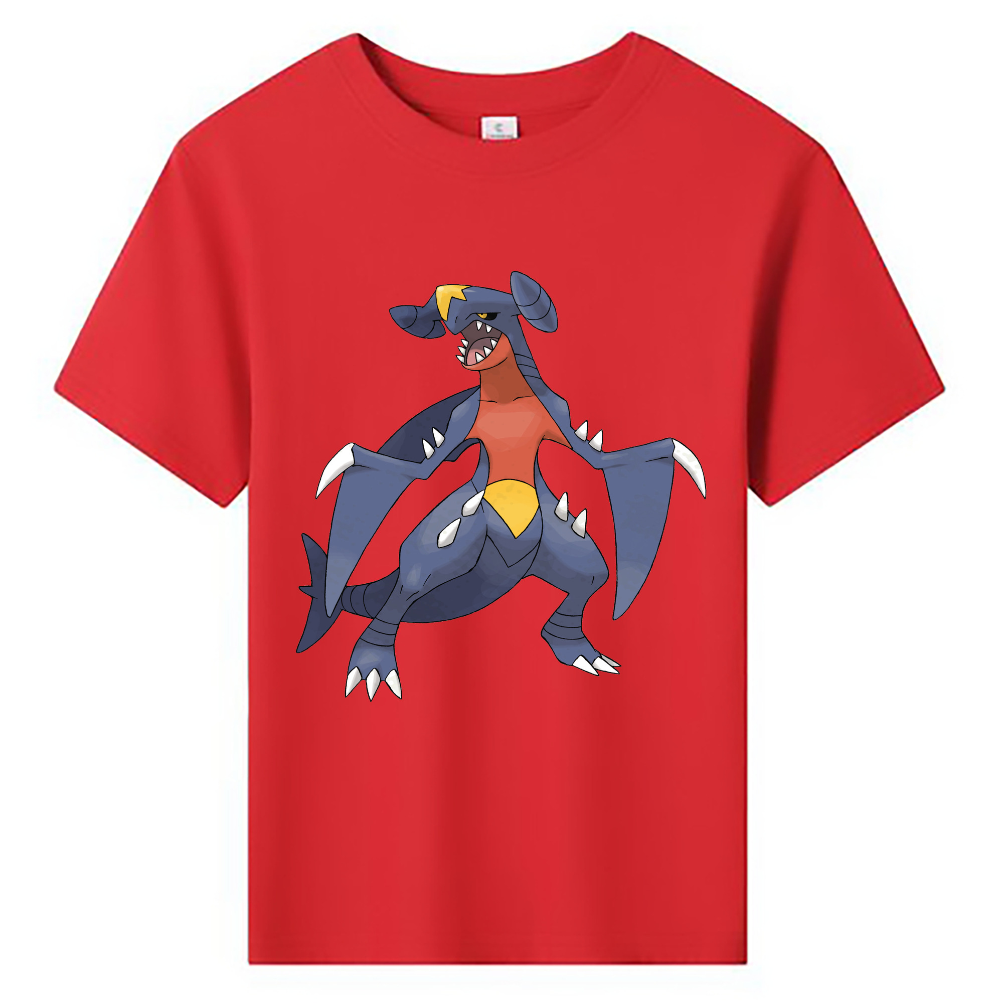 （画像用） ポケットモンスター Pokémon 綿100％キッズTシャツ（フロントプリント）