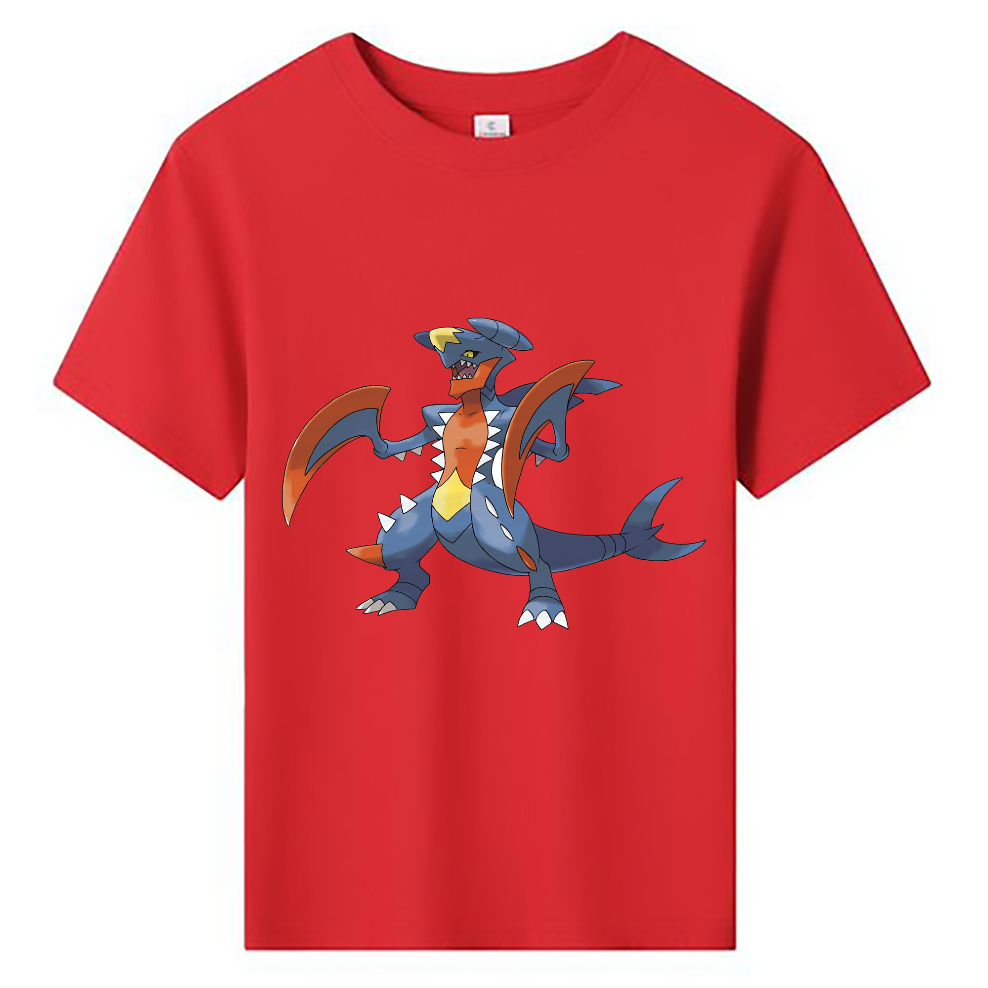 （画像用） ポケットモンスター Pokémon 綿100％キッズTシャツ（フロントプリント）