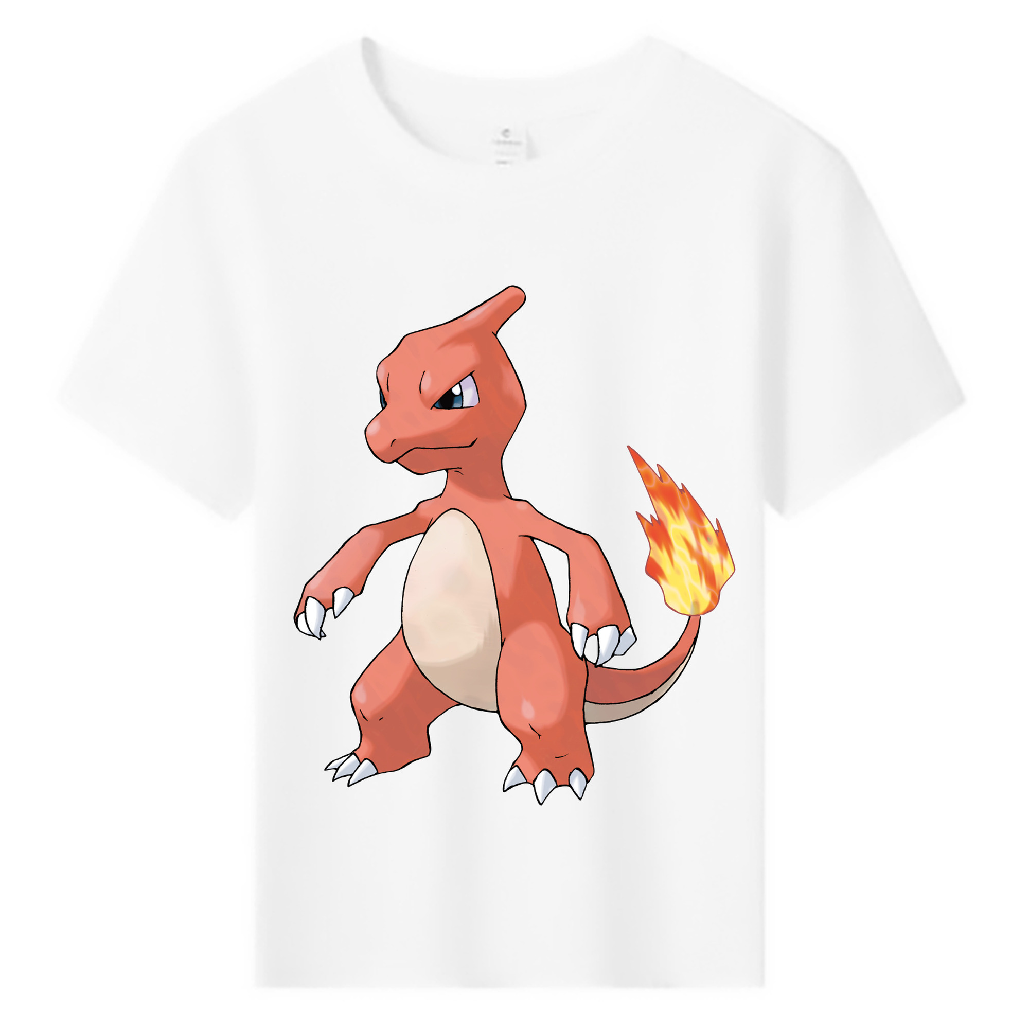 （画像用） ポケットモンスター Pokémon 綿100％キッズTシャツ（フロントプリント）