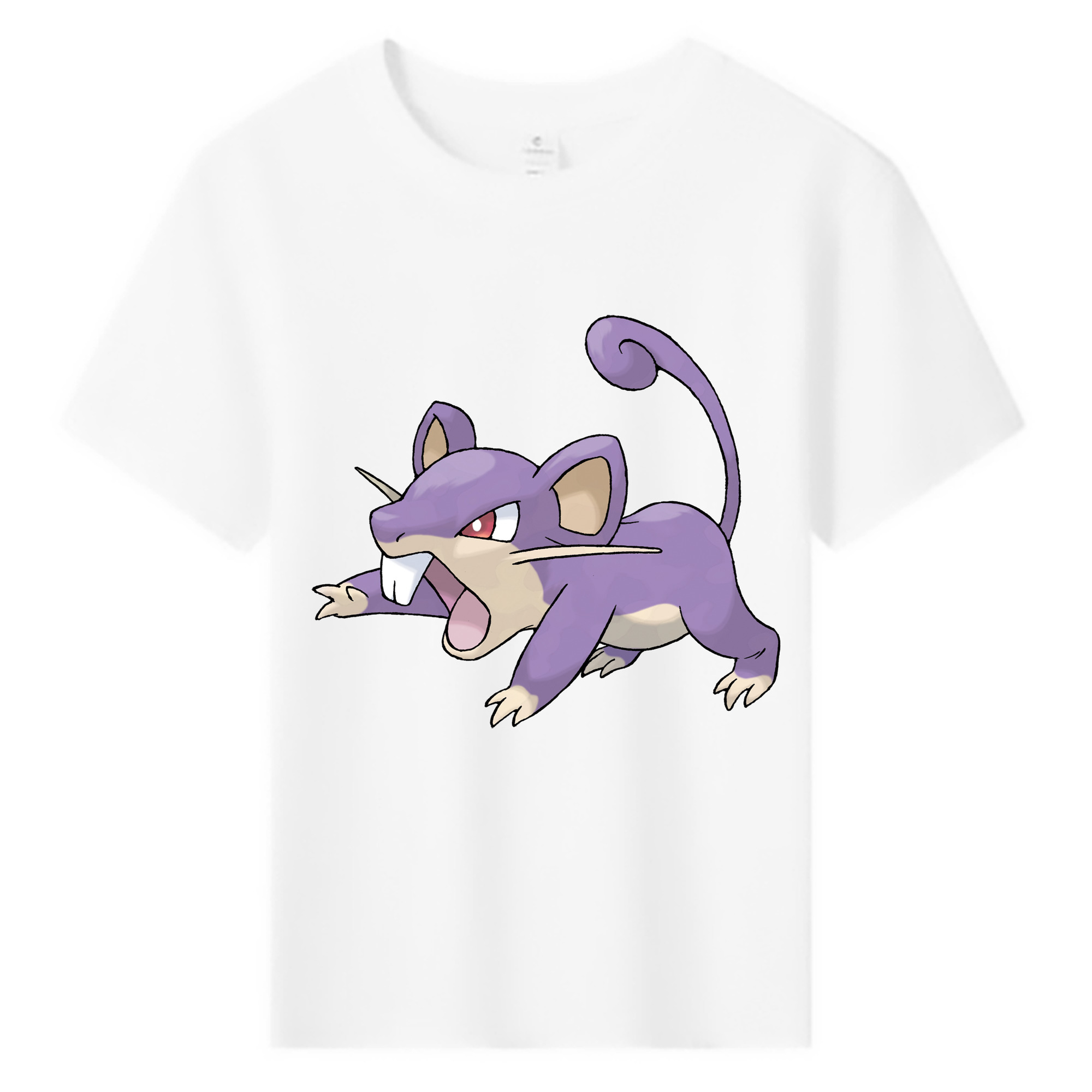 （画像用） ポケットモンスター Pokémon 綿100％キッズTシャツ（フロントプリント）