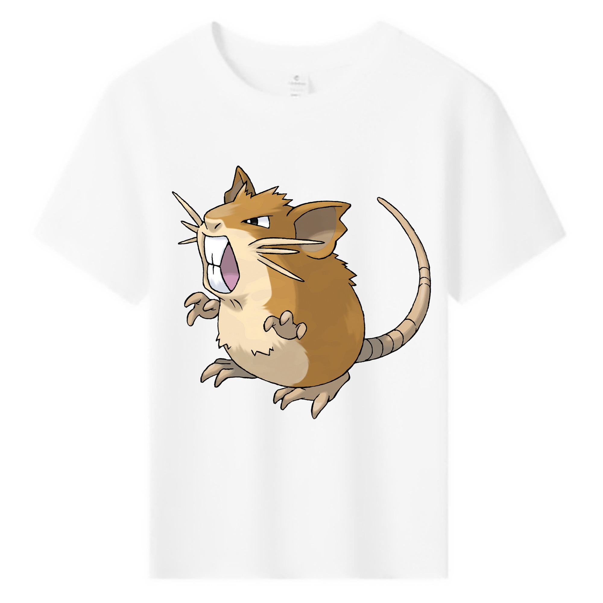 （画像用） ポケットモンスター Pokémon 綿100％キッズTシャツ（フロントプリント）