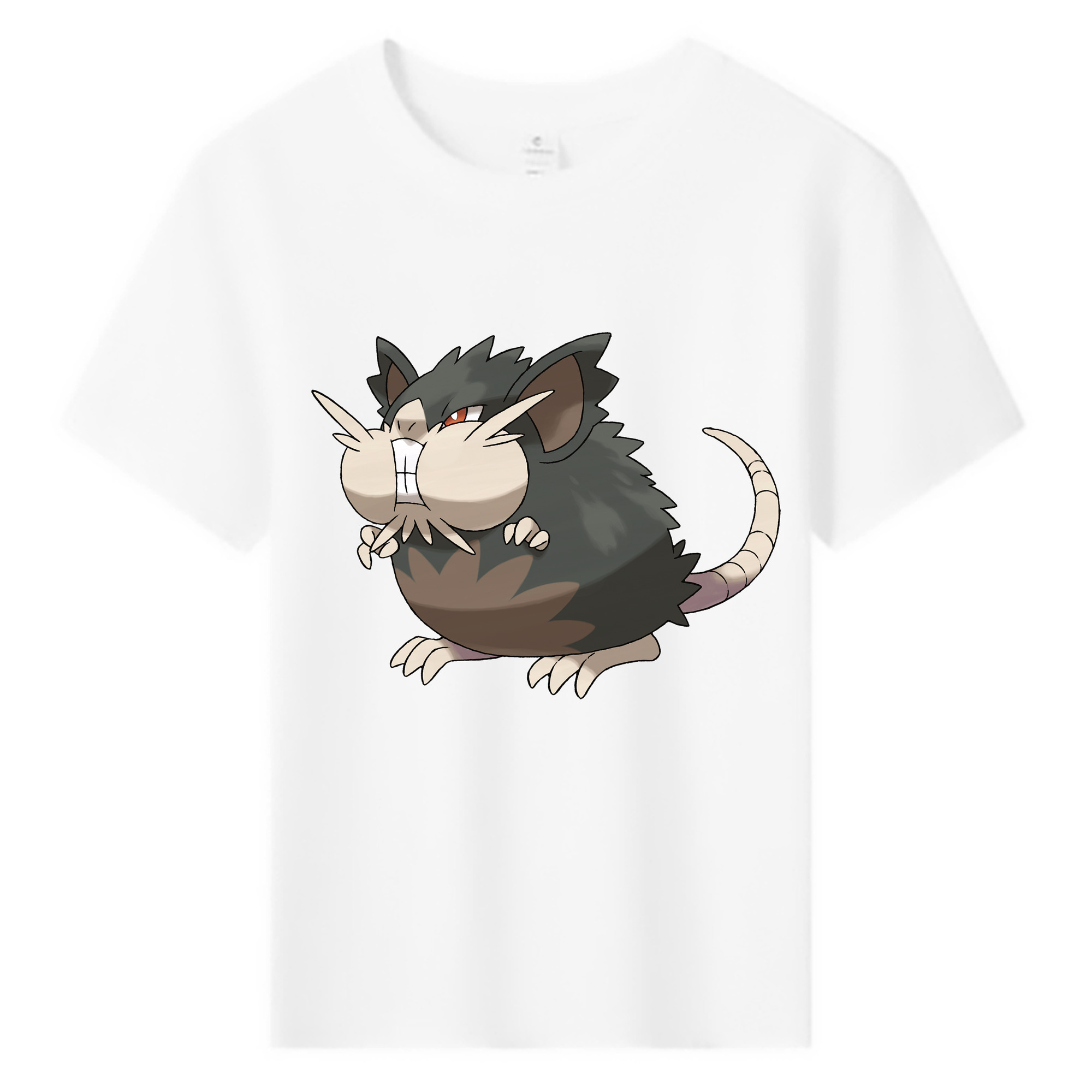 （画像用） ポケットモンスター Pokémon 綿100％キッズTシャツ（フロントプリント）