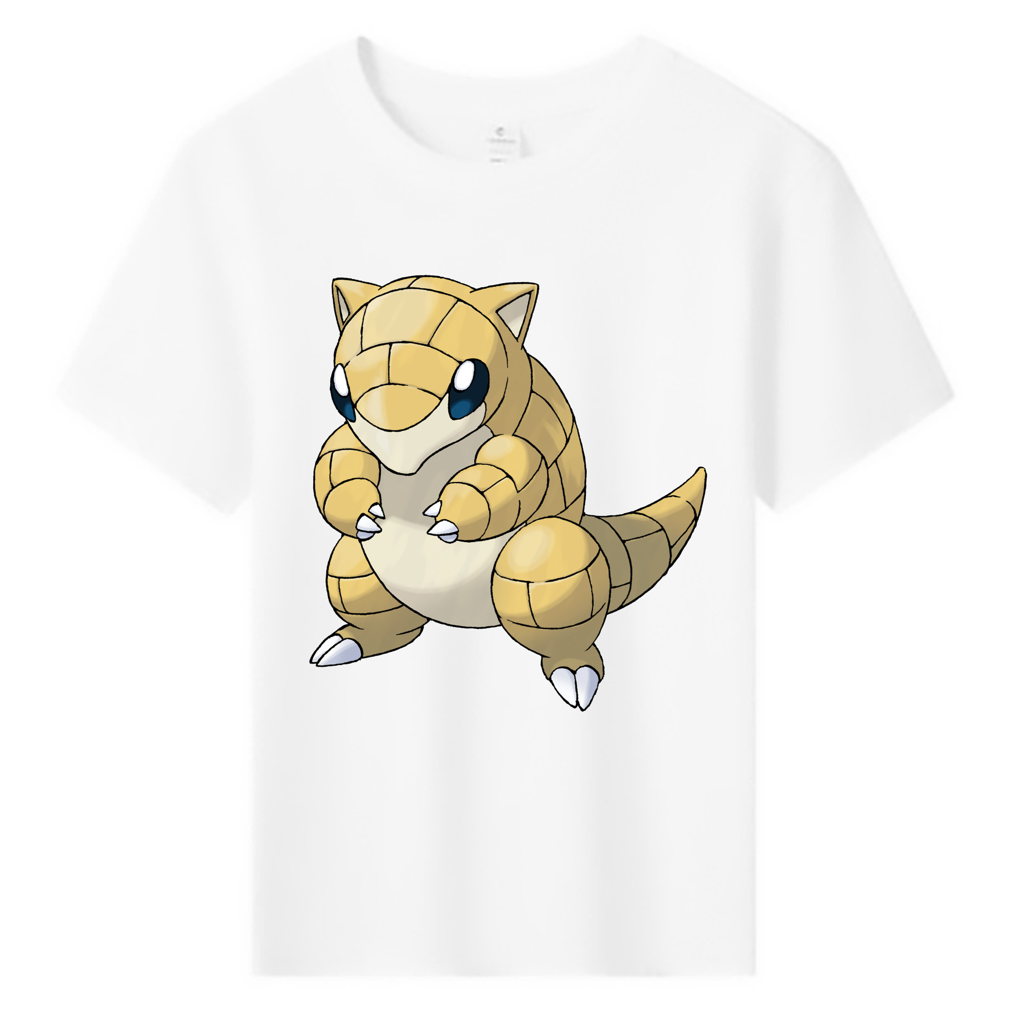 （画像用） ポケットモンスター Pokémon 綿100％キッズTシャツ（フロントプリント）