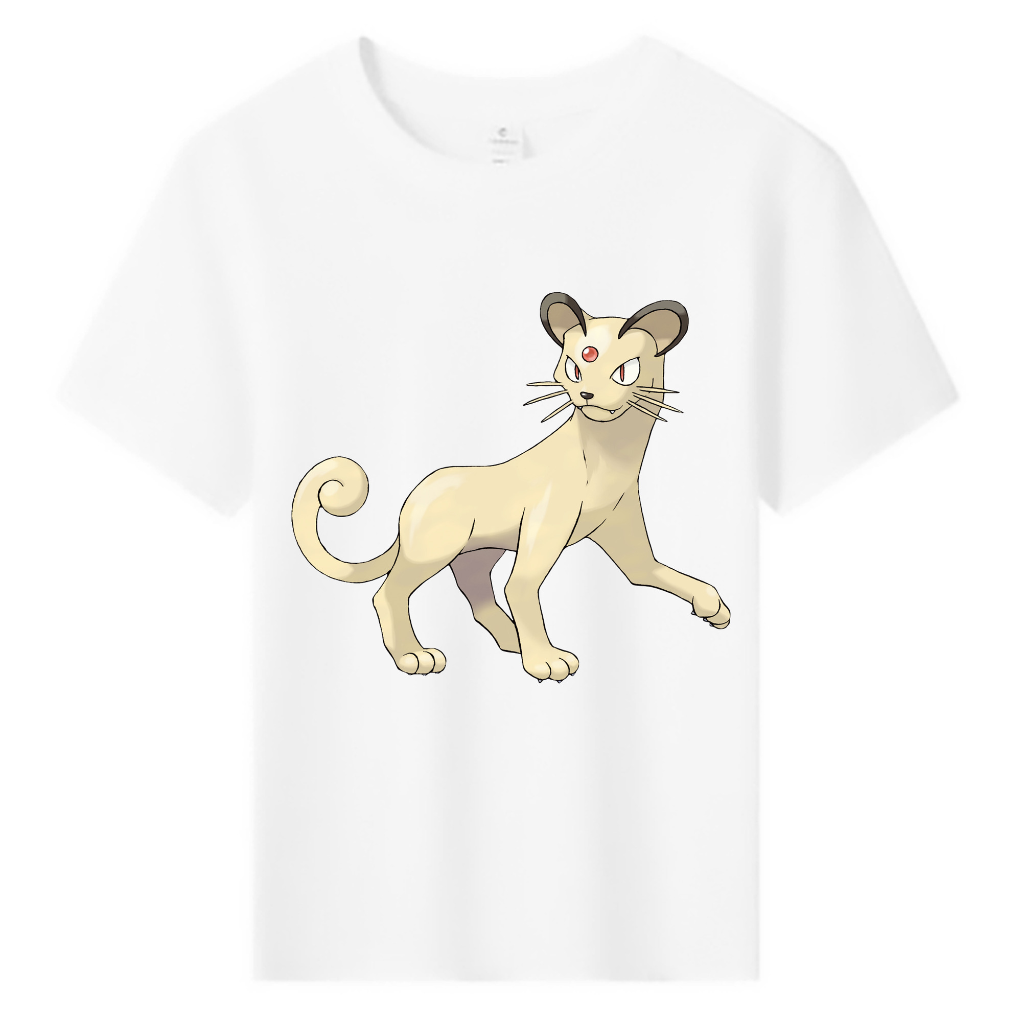 （画像用） ポケットモンスター Pokémon 綿100％キッズTシャツ（フロントプリント）