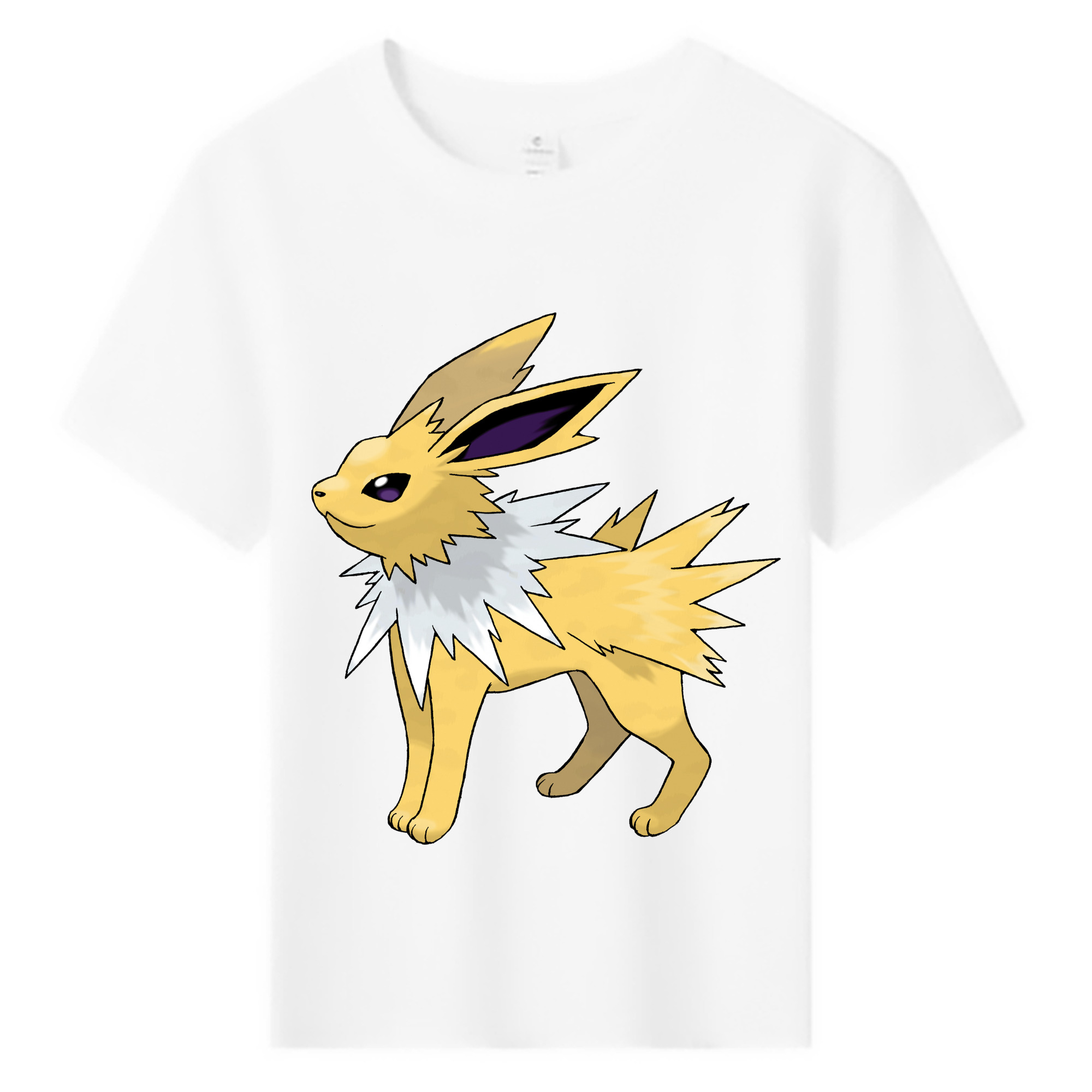 （画像用） ポケットモンスター Pokémon 綿100％キッズTシャツ（フロントプリント）