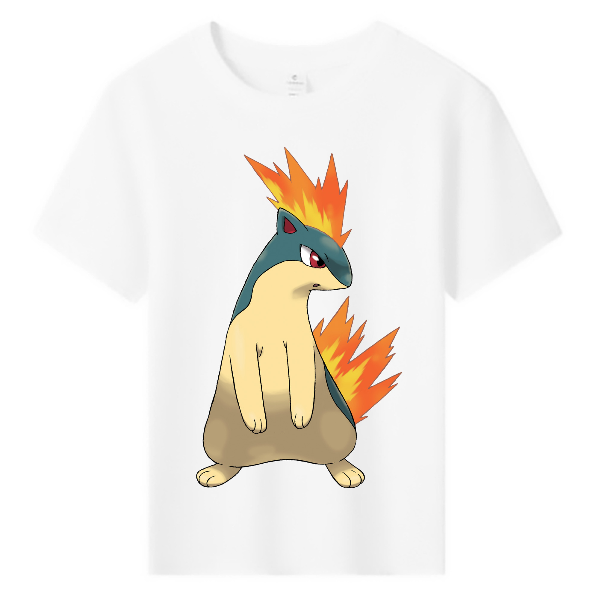 （画像用） ポケットモンスター Pokémon 綿100％キッズTシャツ（フロントプリント）