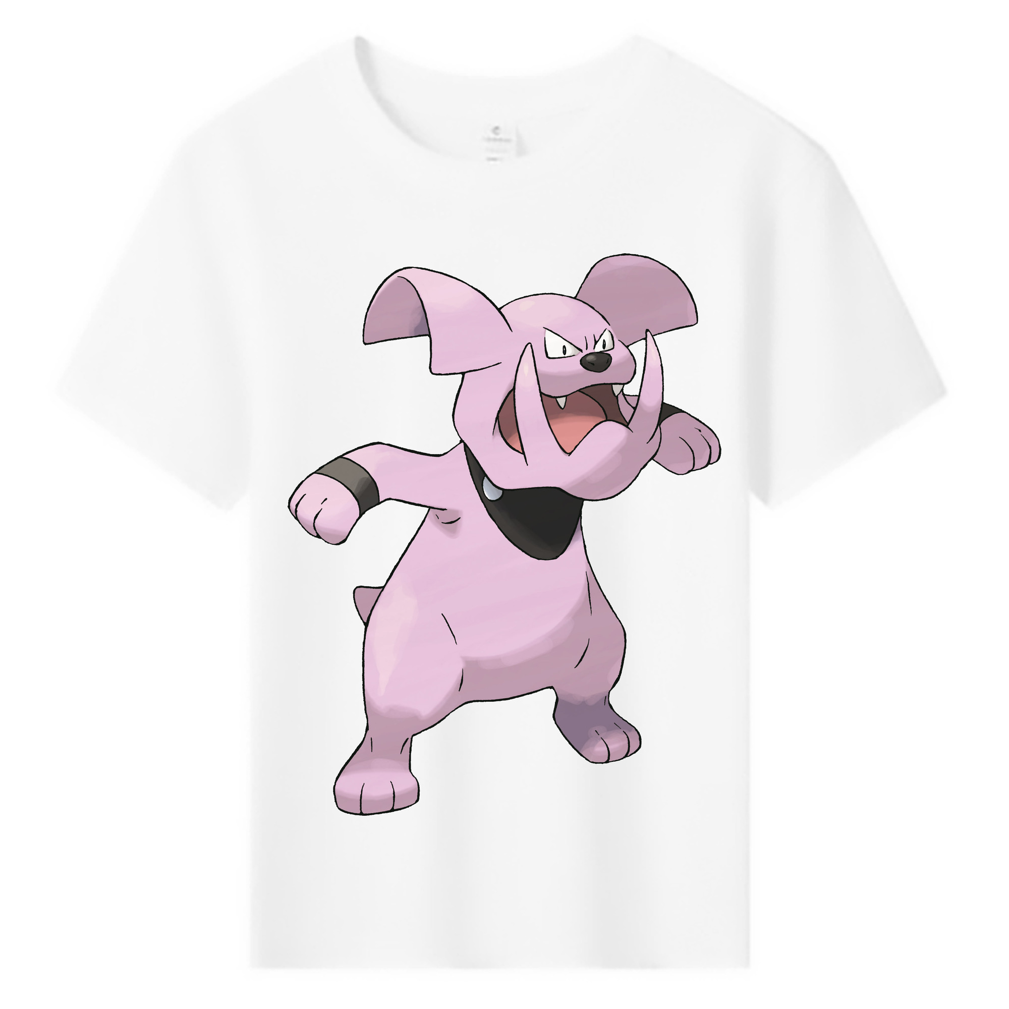 （画像用） ポケットモンスター Pokémon 綿100％キッズTシャツ（フロントプリント）