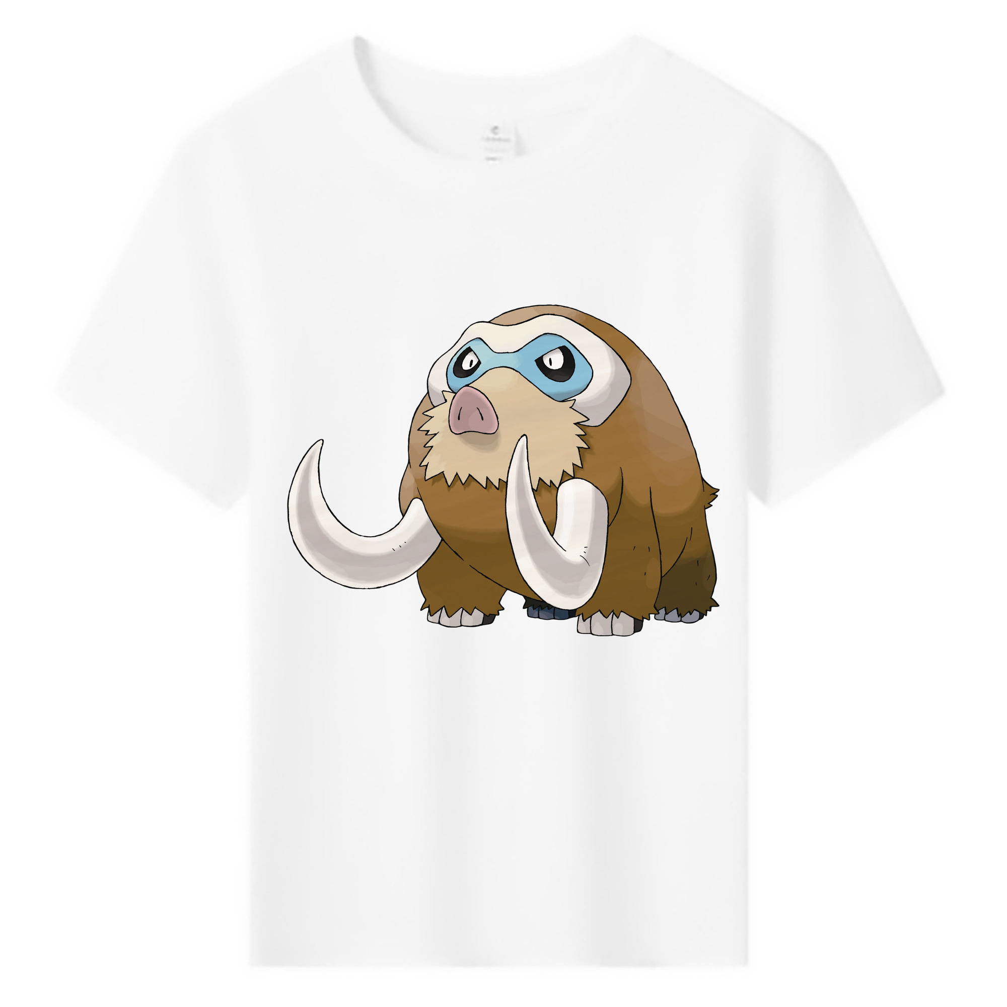 （画像用） ポケットモンスター Pokémon 綿100％キッズTシャツ（フロントプリント）