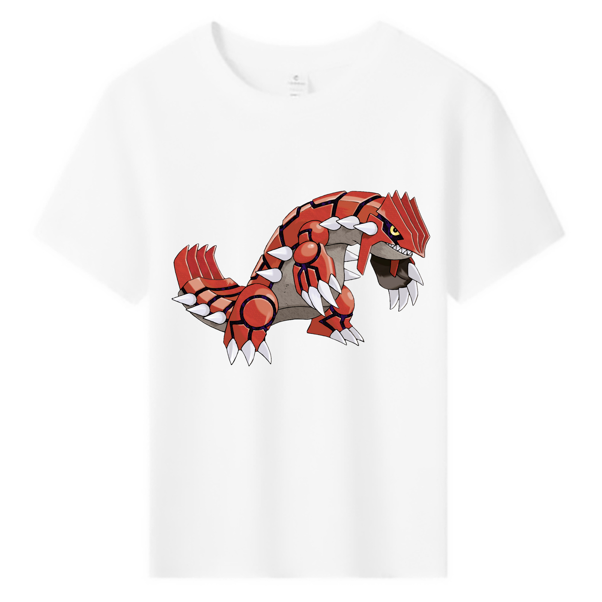 （画像用） ポケットモンスター Pokémon 綿100％キッズTシャツ（フロントプリント）
