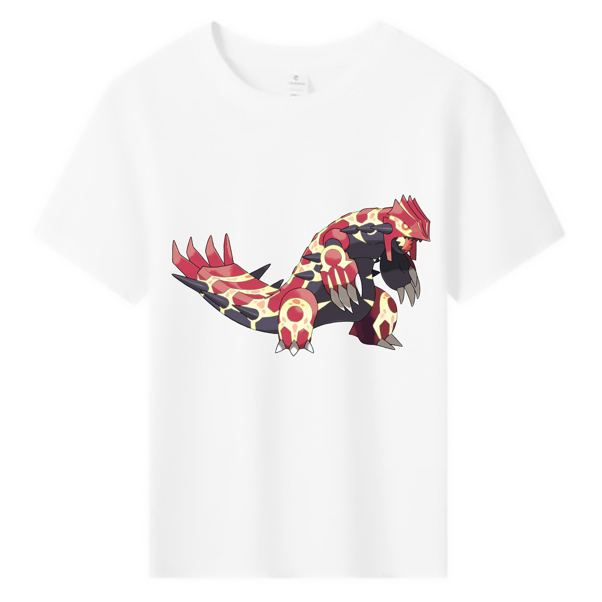 （画像用） ポケットモンスター Pokémon 綿100％キッズTシャツ（フロントプリント）