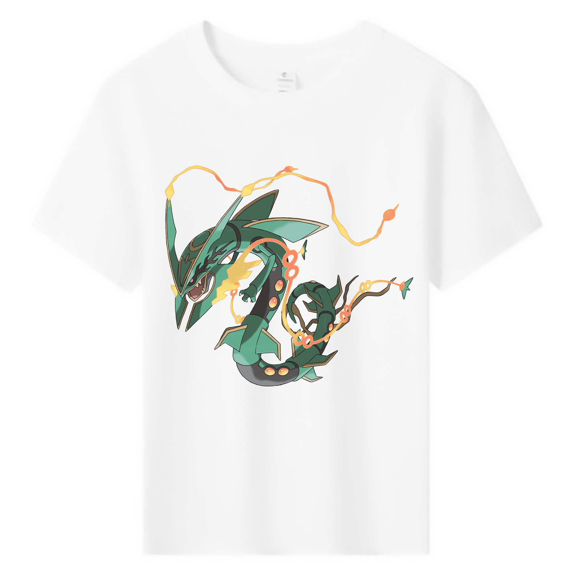 （画像用） ポケットモンスター Pokémon 綿100％キッズTシャツ（フロントプリント）