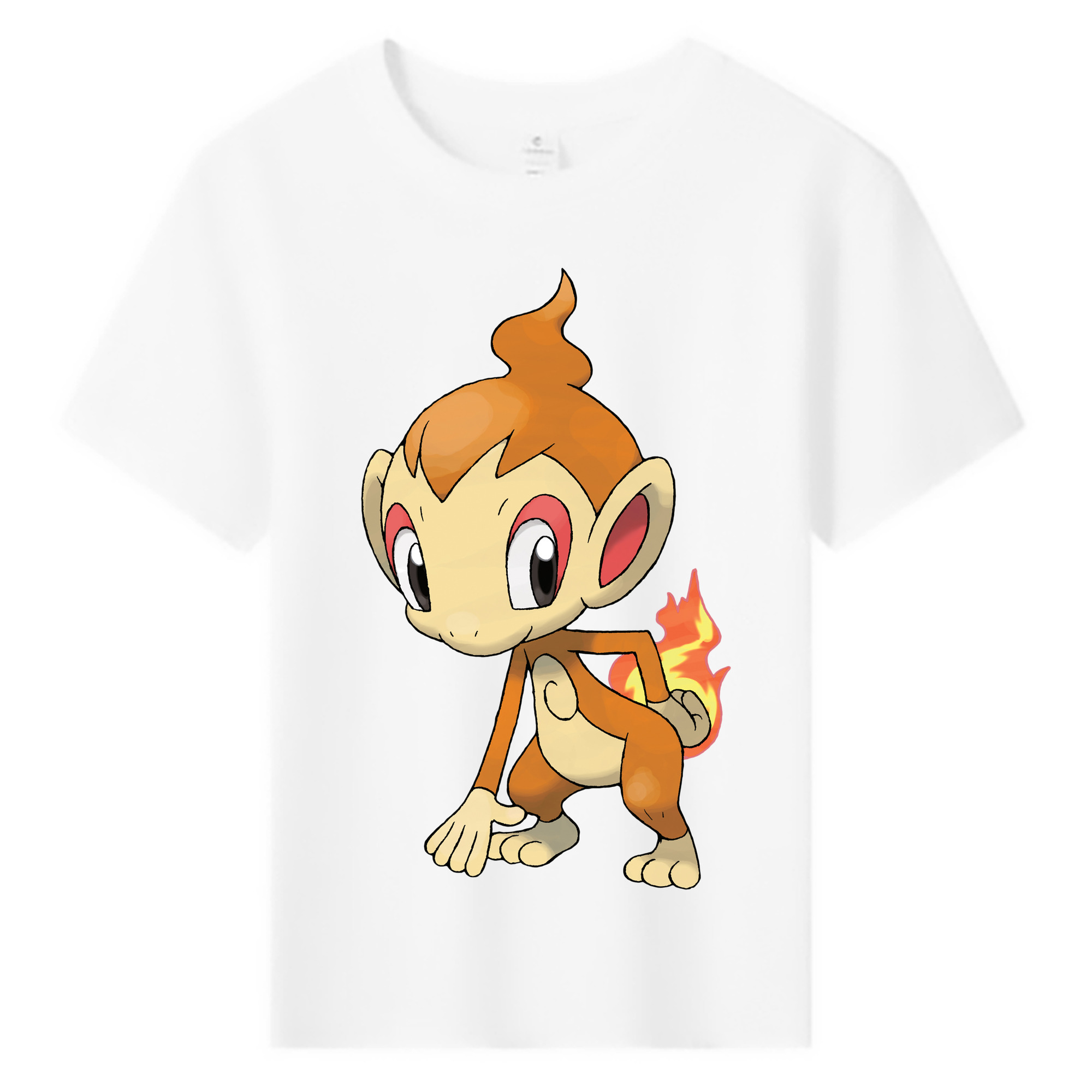 （画像用） ポケットモンスター Pokémon 綿100％キッズTシャツ（フロントプリント）