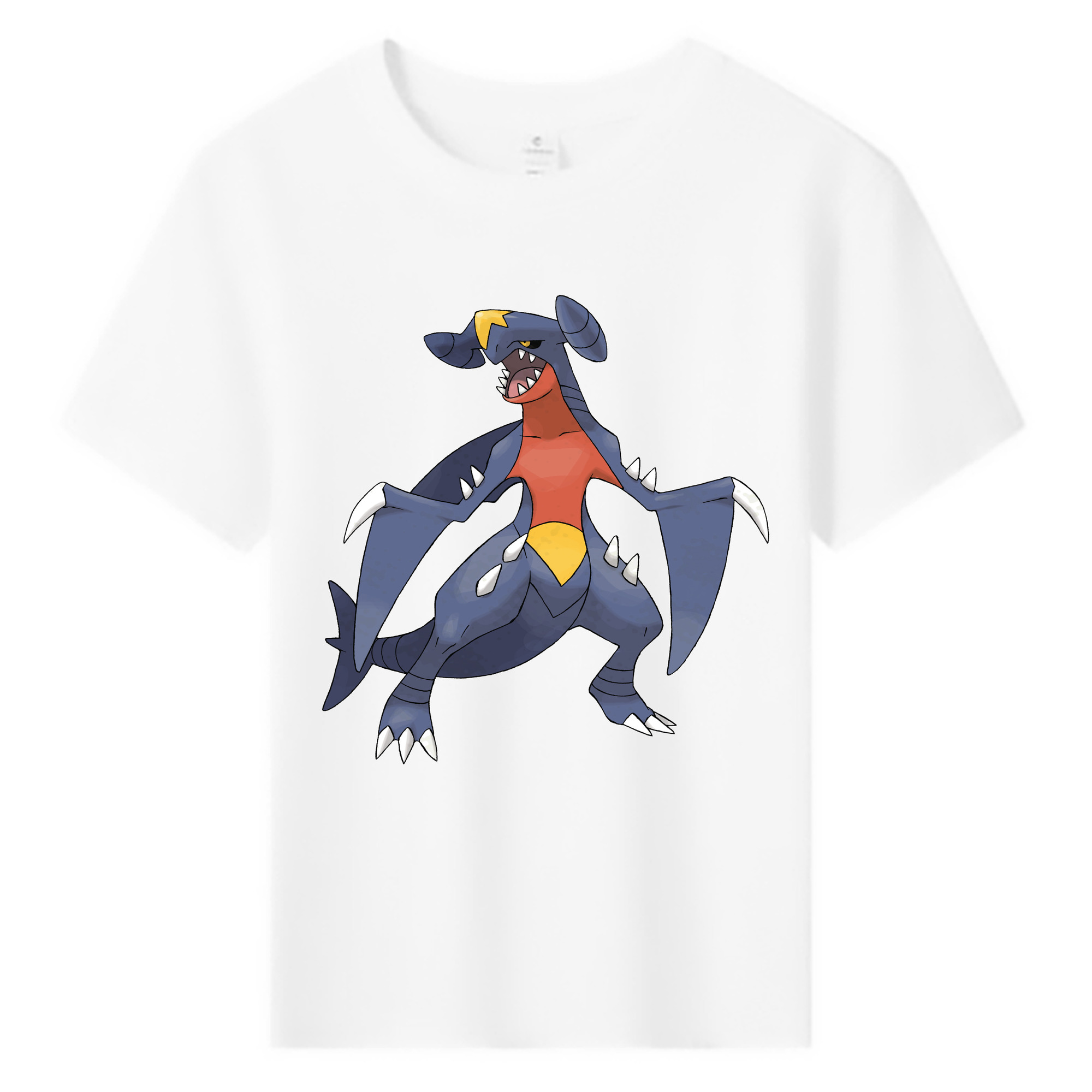 （画像用） ポケットモンスター Pokémon 綿100％キッズTシャツ（フロントプリント）