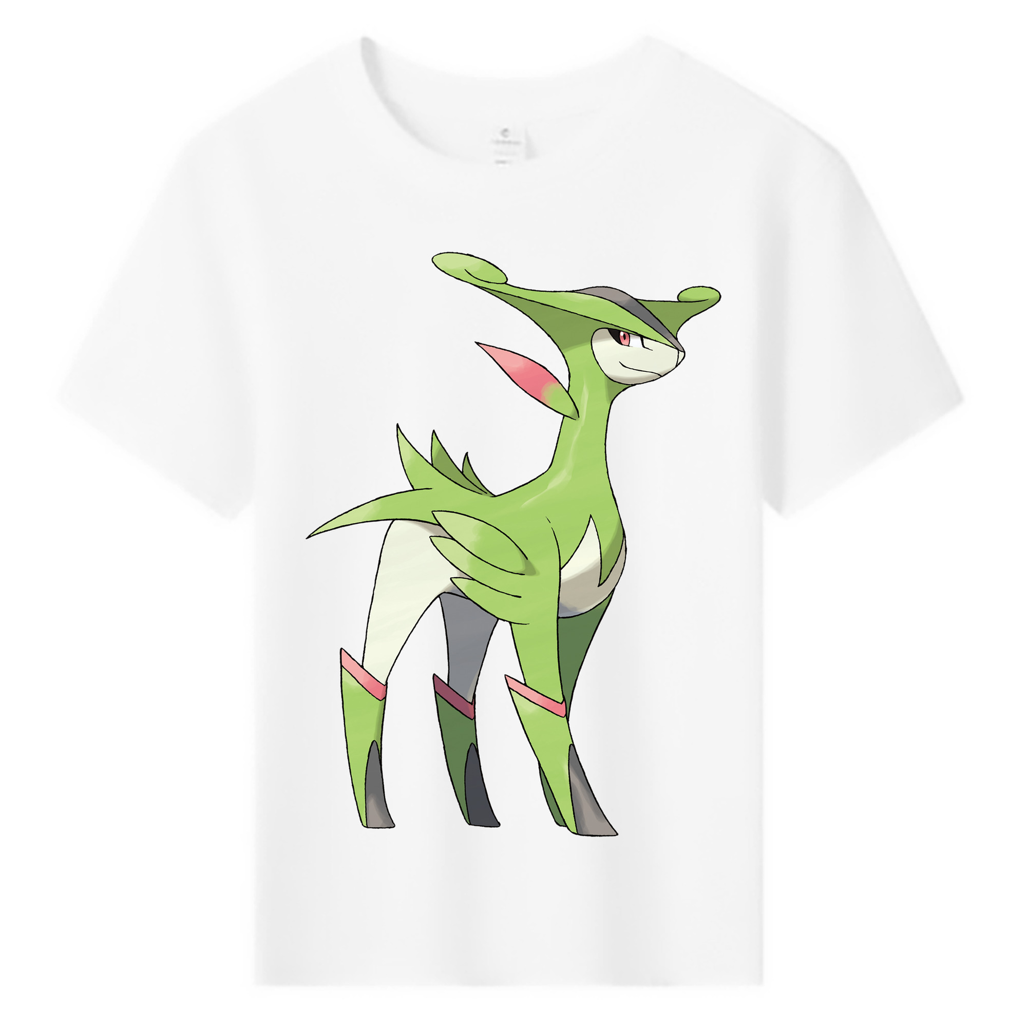 （画像用） ポケットモンスター Pokémon 綿100％キッズTシャツ（フロントプリント）