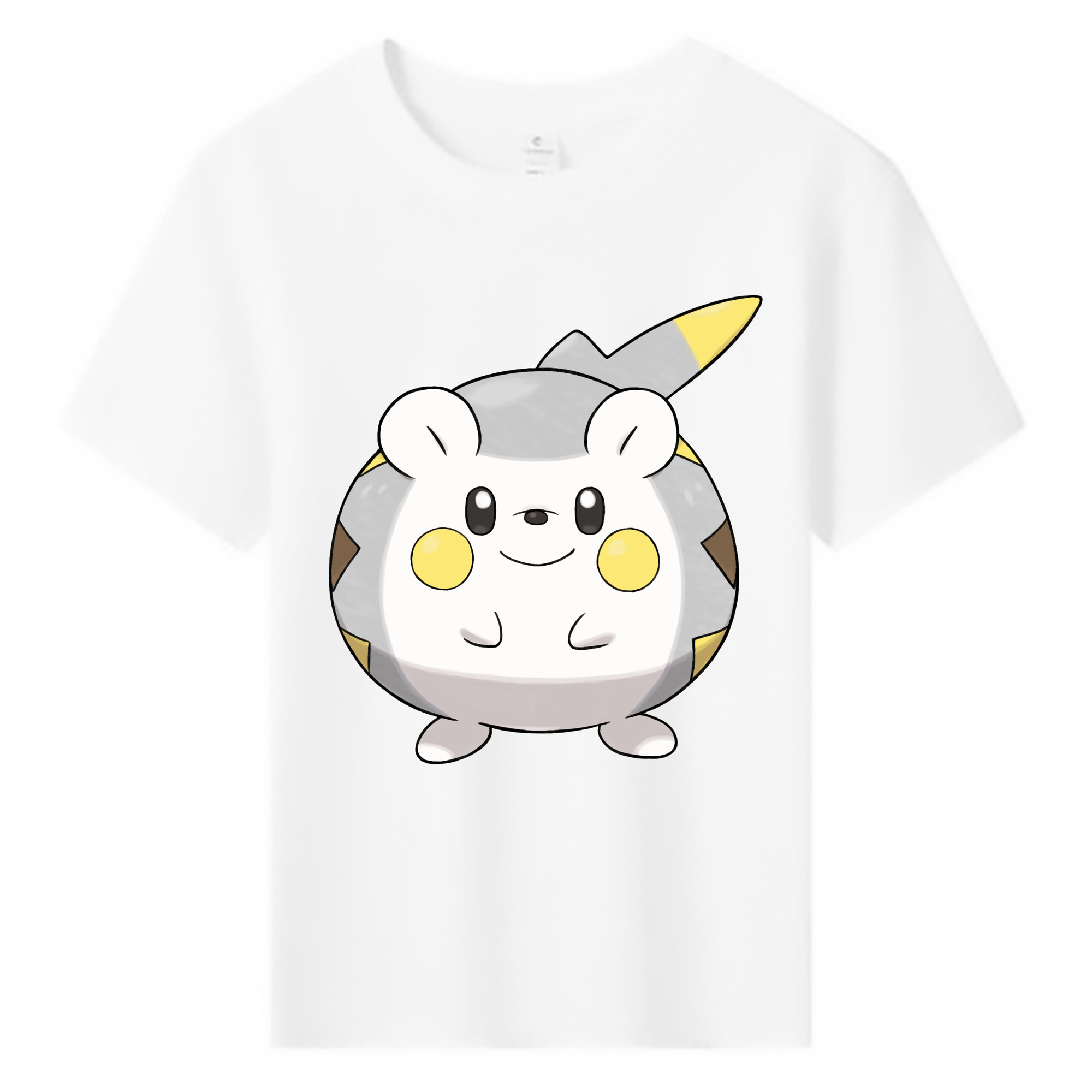 （画像用） ポケットモンスター Pokémon 綿100％キッズTシャツ（フロントプリント）
