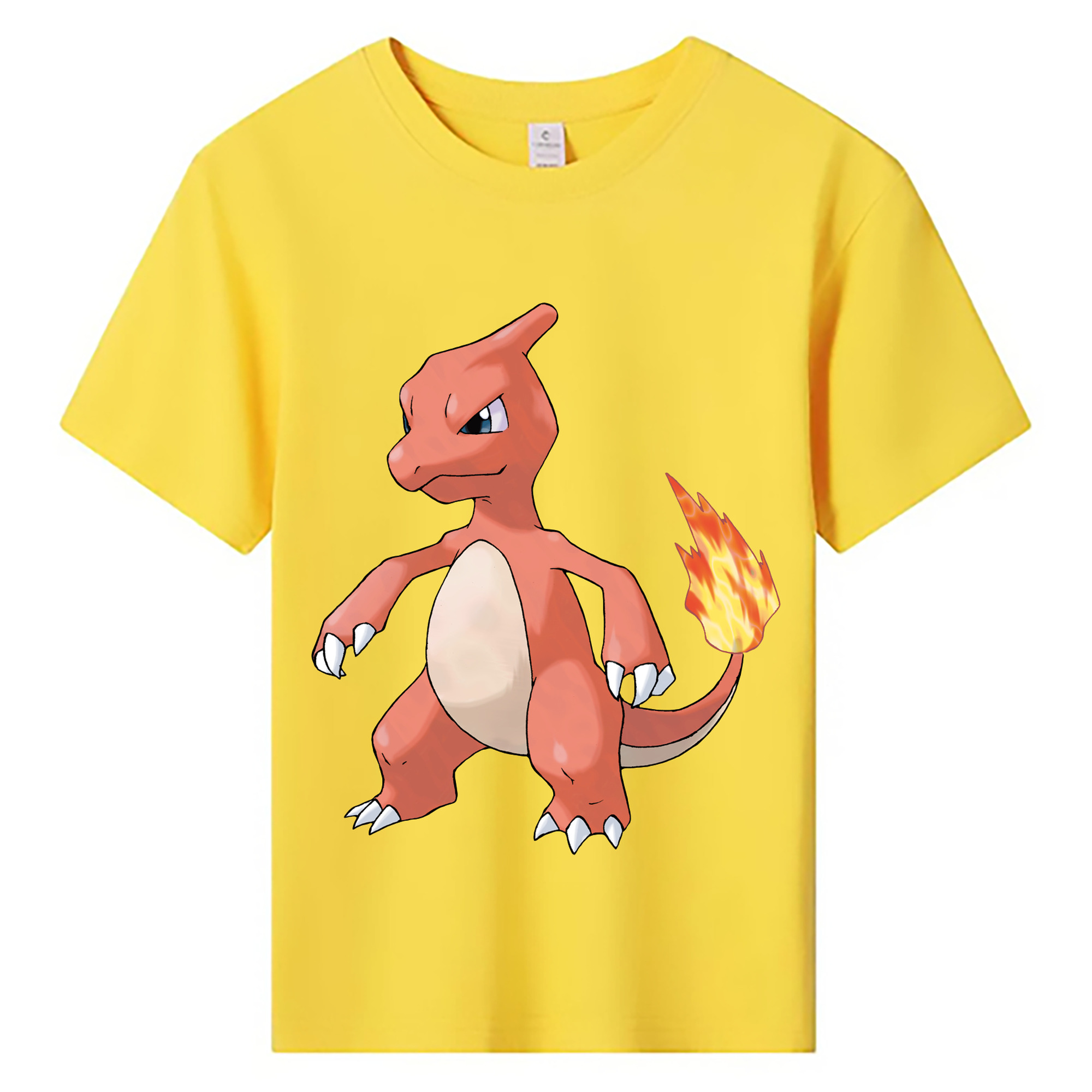 （画像用） ポケットモンスター Pokémon 綿100％キッズTシャツ（フロントプリント）