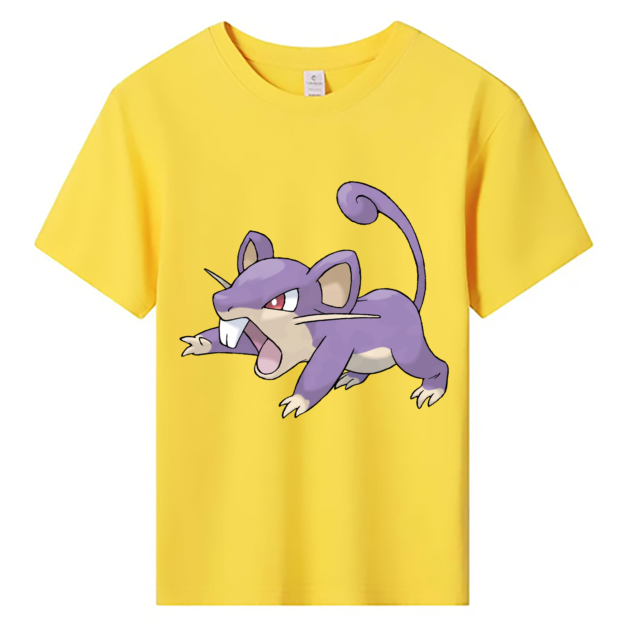 （画像用） ポケットモンスター Pokémon 綿100％キッズTシャツ（フロントプリント）