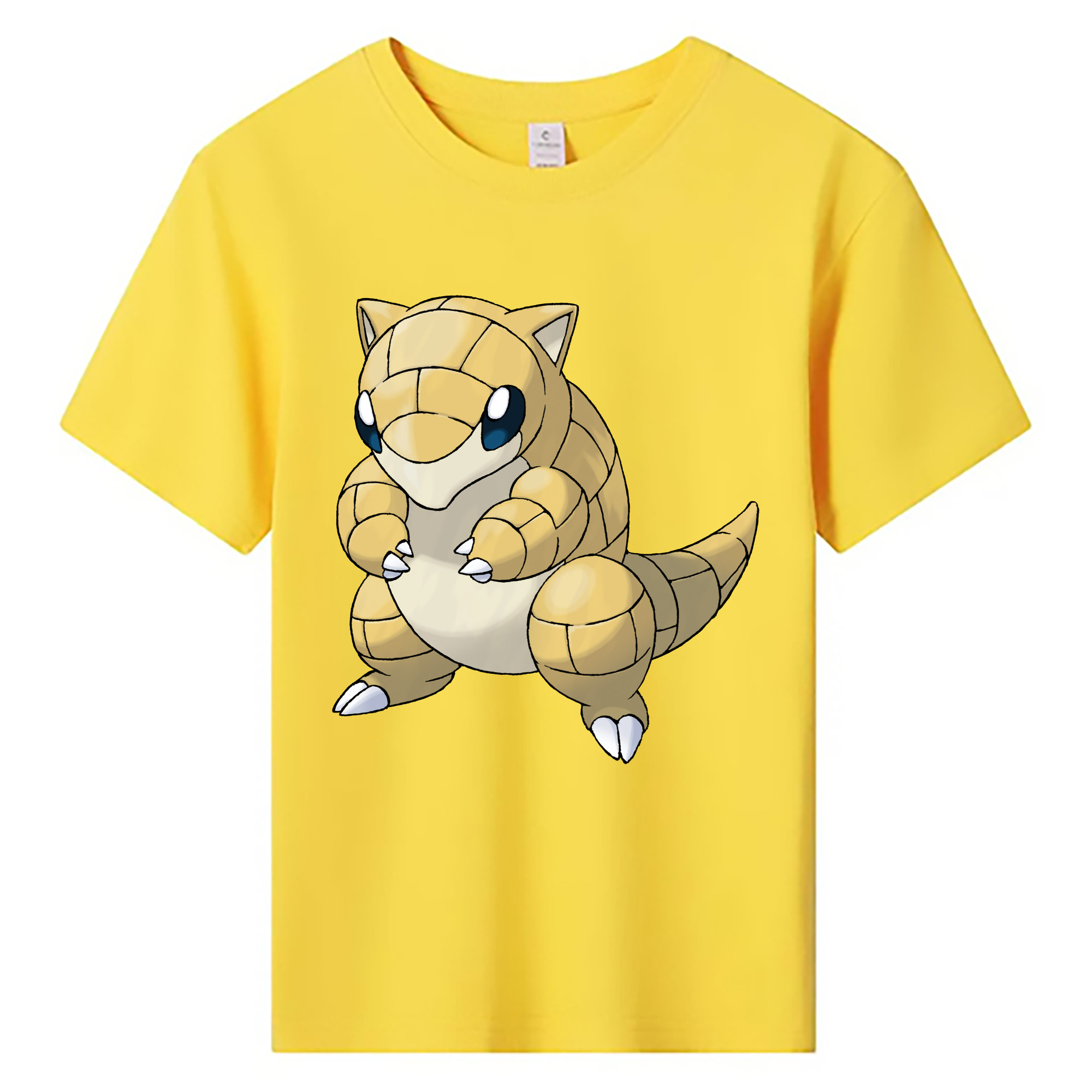 （画像用） ポケットモンスター Pokémon 綿100％キッズTシャツ（フロントプリント）