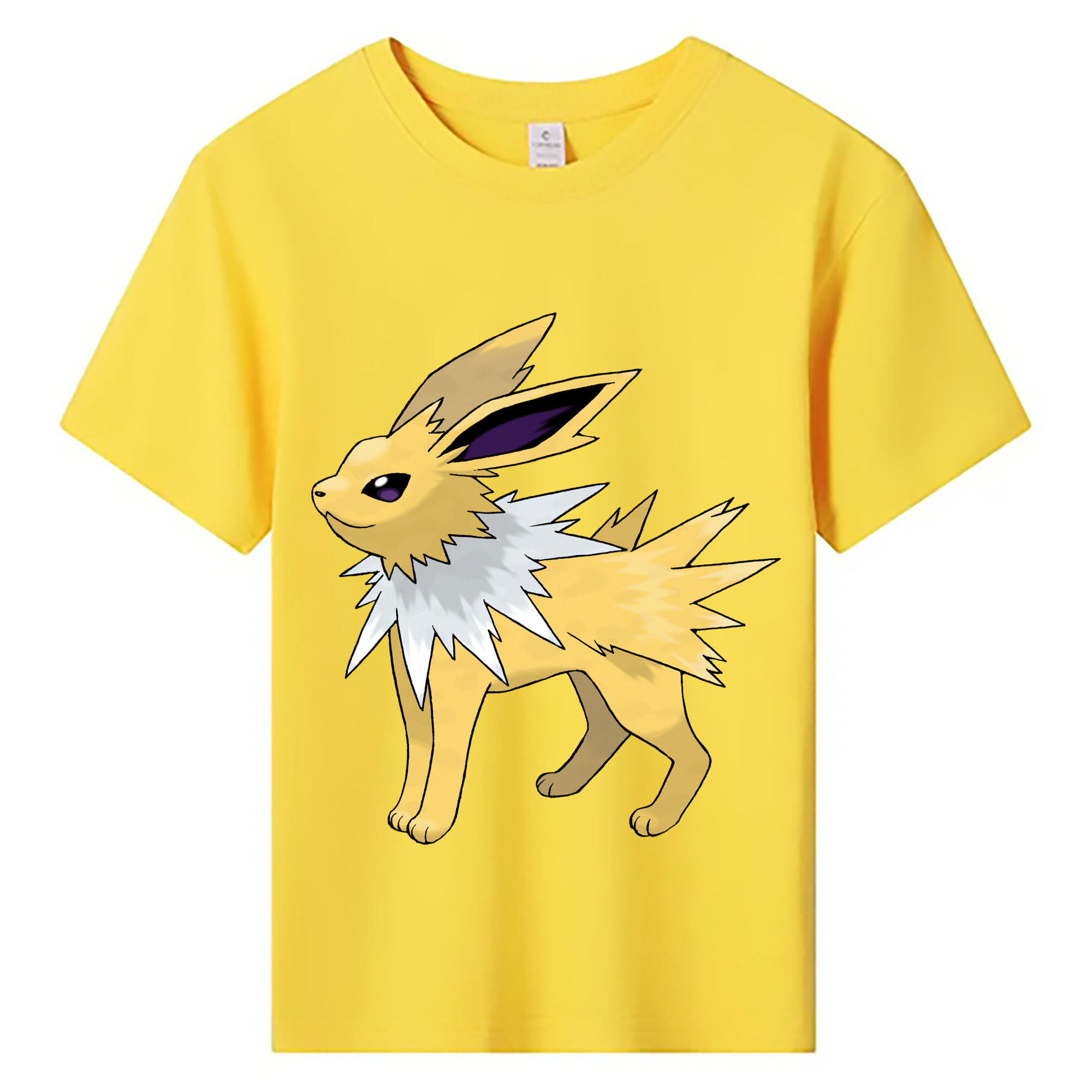 （画像用） ポケットモンスター Pokémon 綿100％キッズTシャツ（フロントプリント）