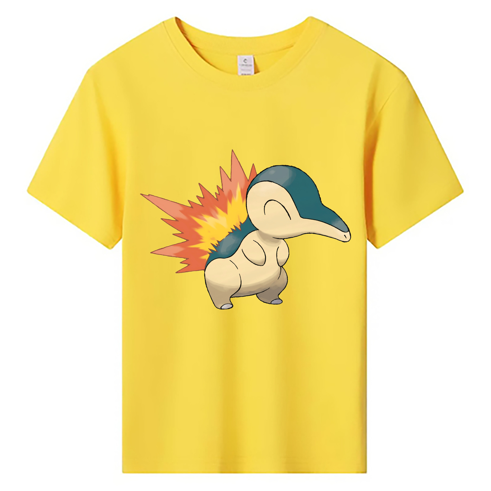 （画像用） ポケットモンスター Pokémon 綿100％キッズTシャツ（フロントプリント）