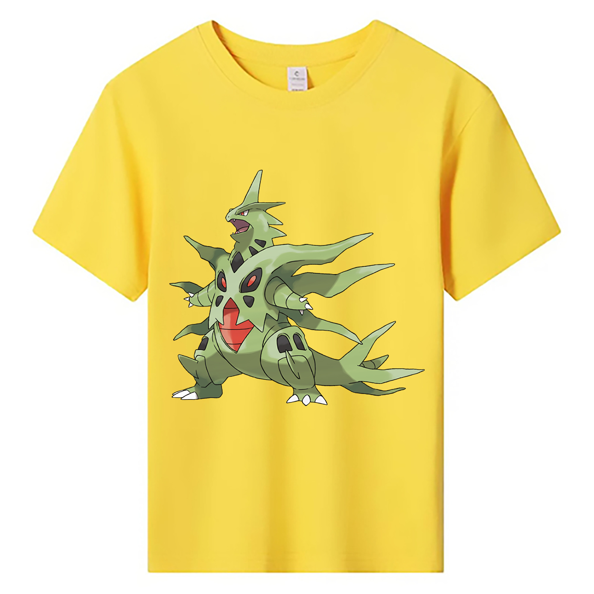 （画像用） ポケットモンスター Pokémon 綿100％キッズTシャツ（フロントプリント）