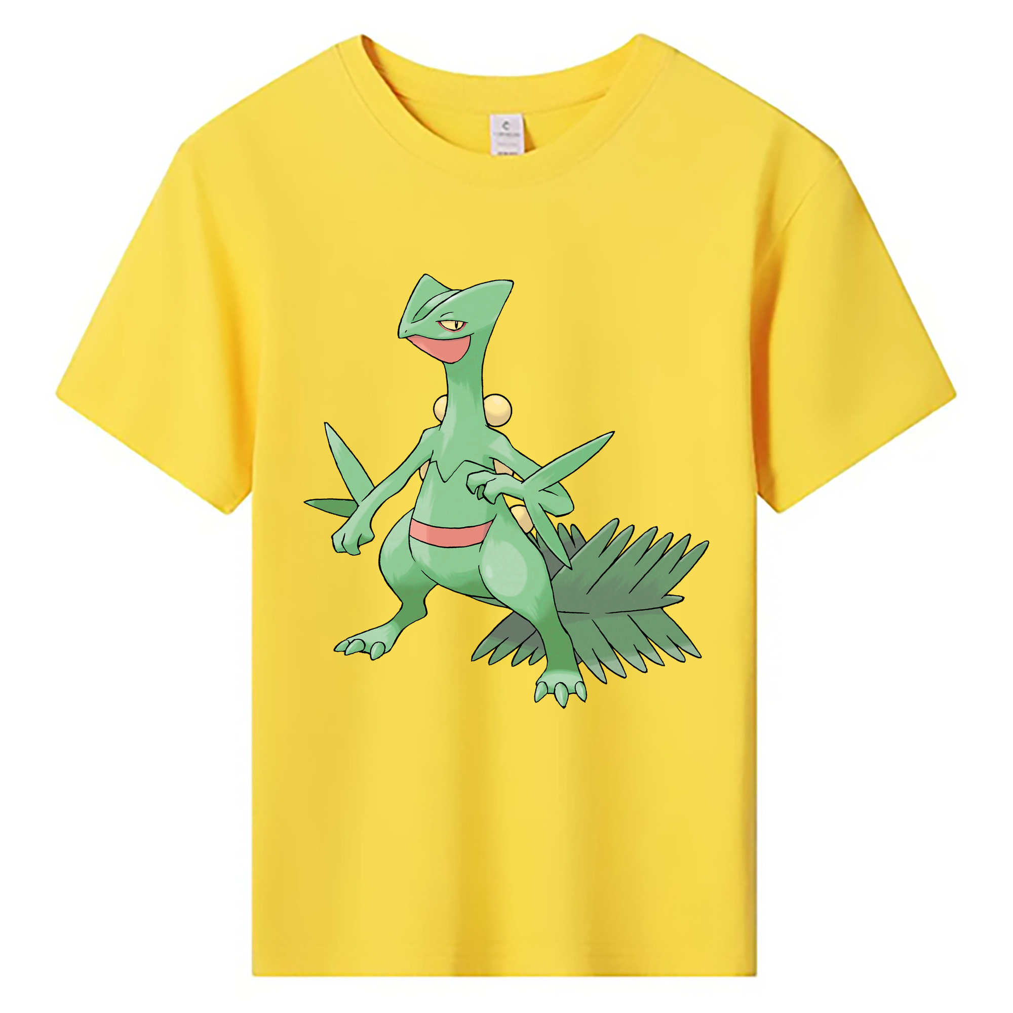 （画像用） ポケットモンスター Pokémon 綿100％キッズTシャツ（フロントプリント）