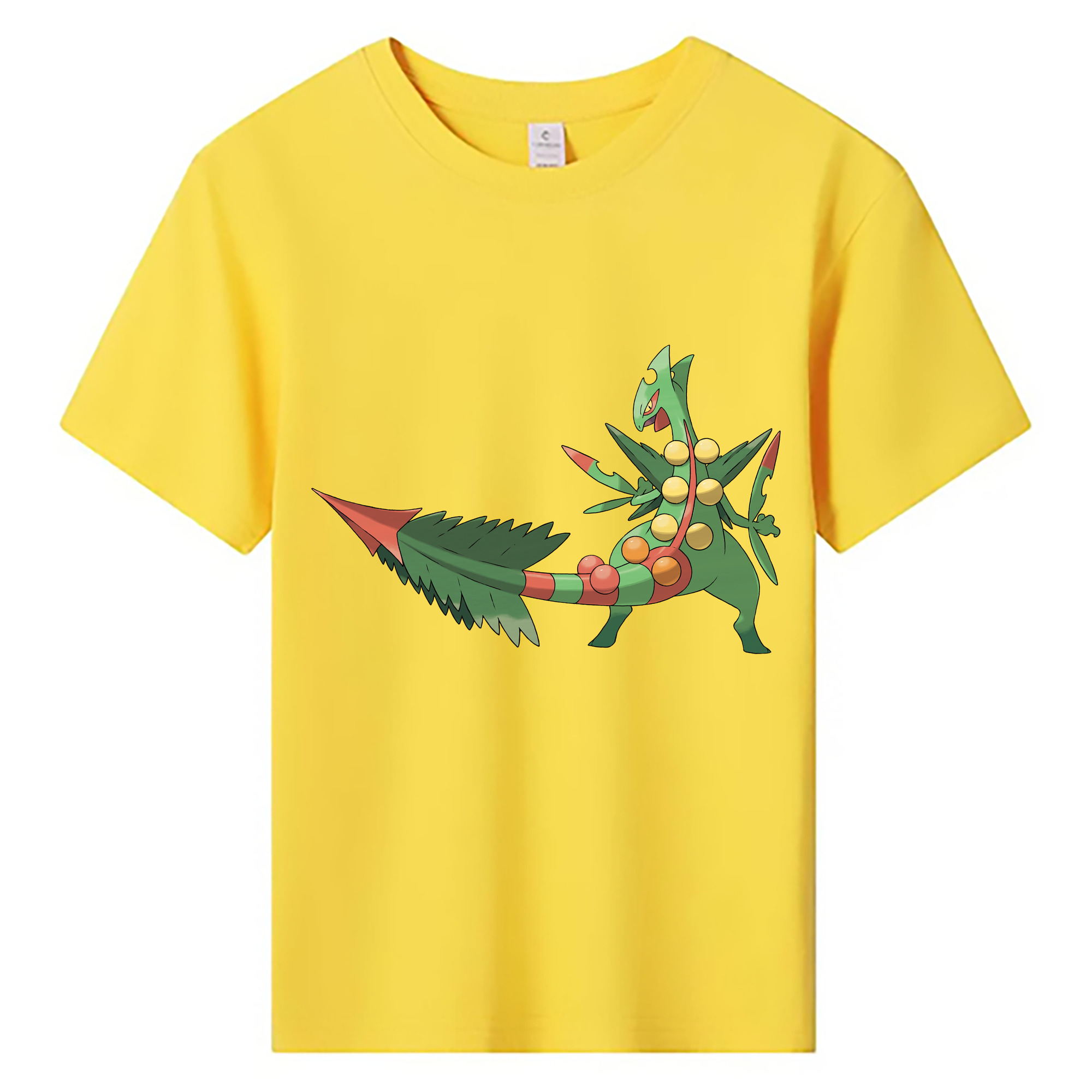 （画像用） ポケットモンスター Pokémon 綿100％キッズTシャツ（フロントプリント）