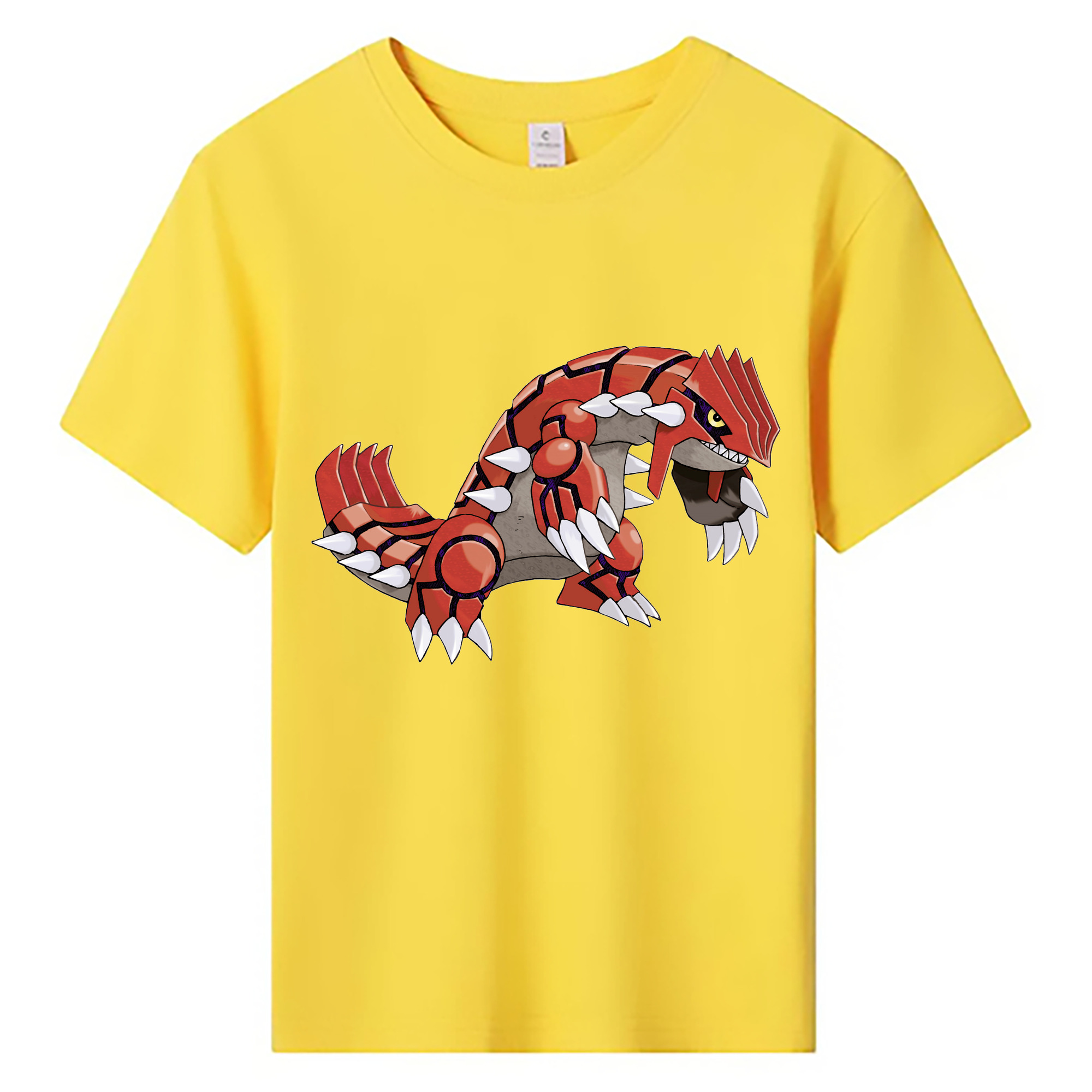 （画像用） ポケットモンスター Pokémon 綿100％キッズTシャツ（フロントプリント）