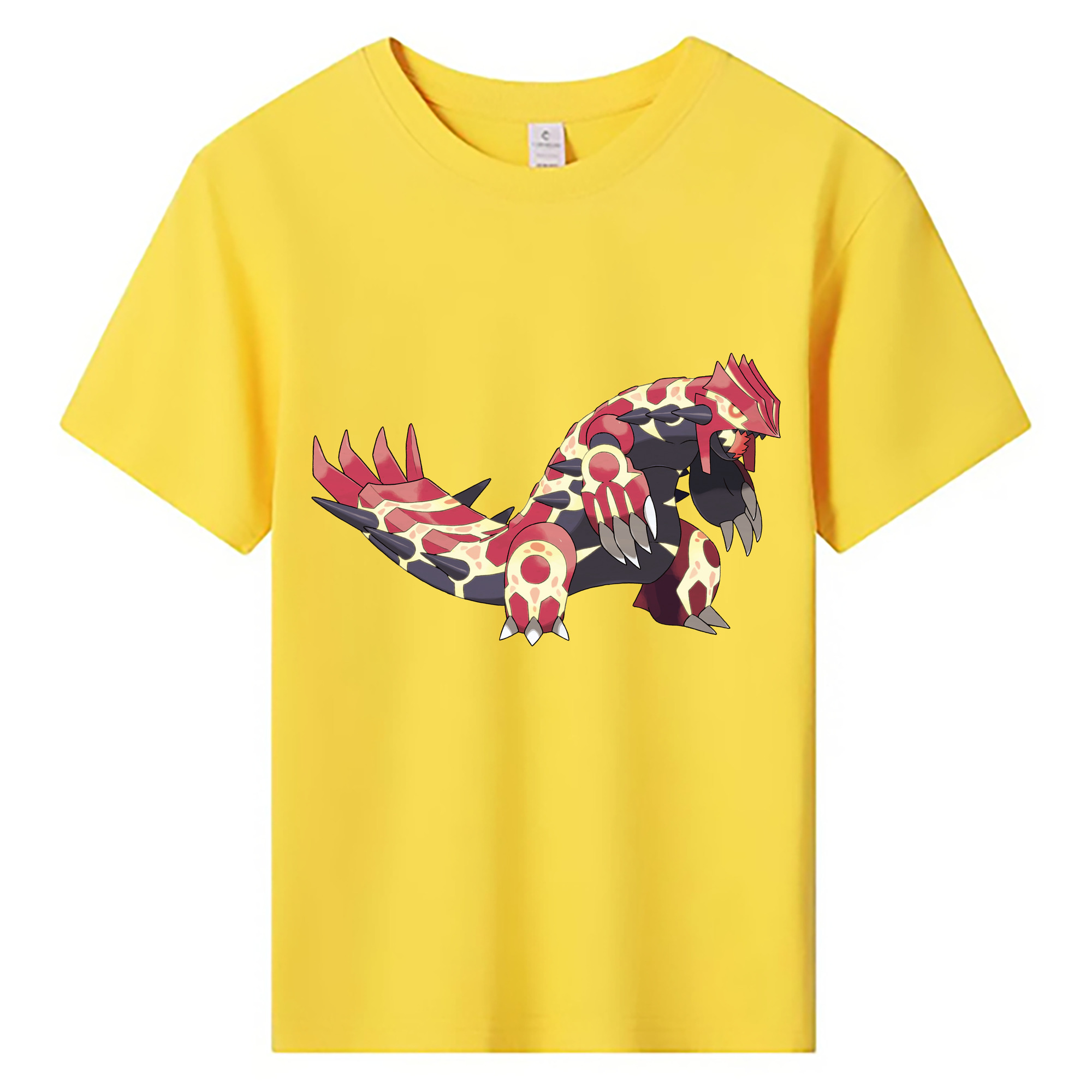 （画像用） ポケットモンスター Pokémon 綿100％キッズTシャツ（フロントプリント）