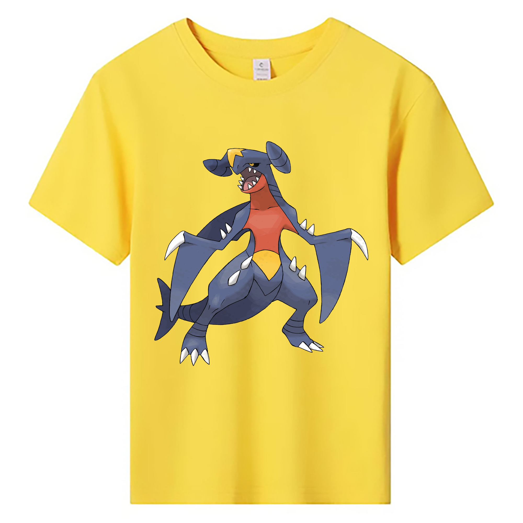 （画像用） ポケットモンスター Pokémon 綿100％キッズTシャツ（フロントプリント）