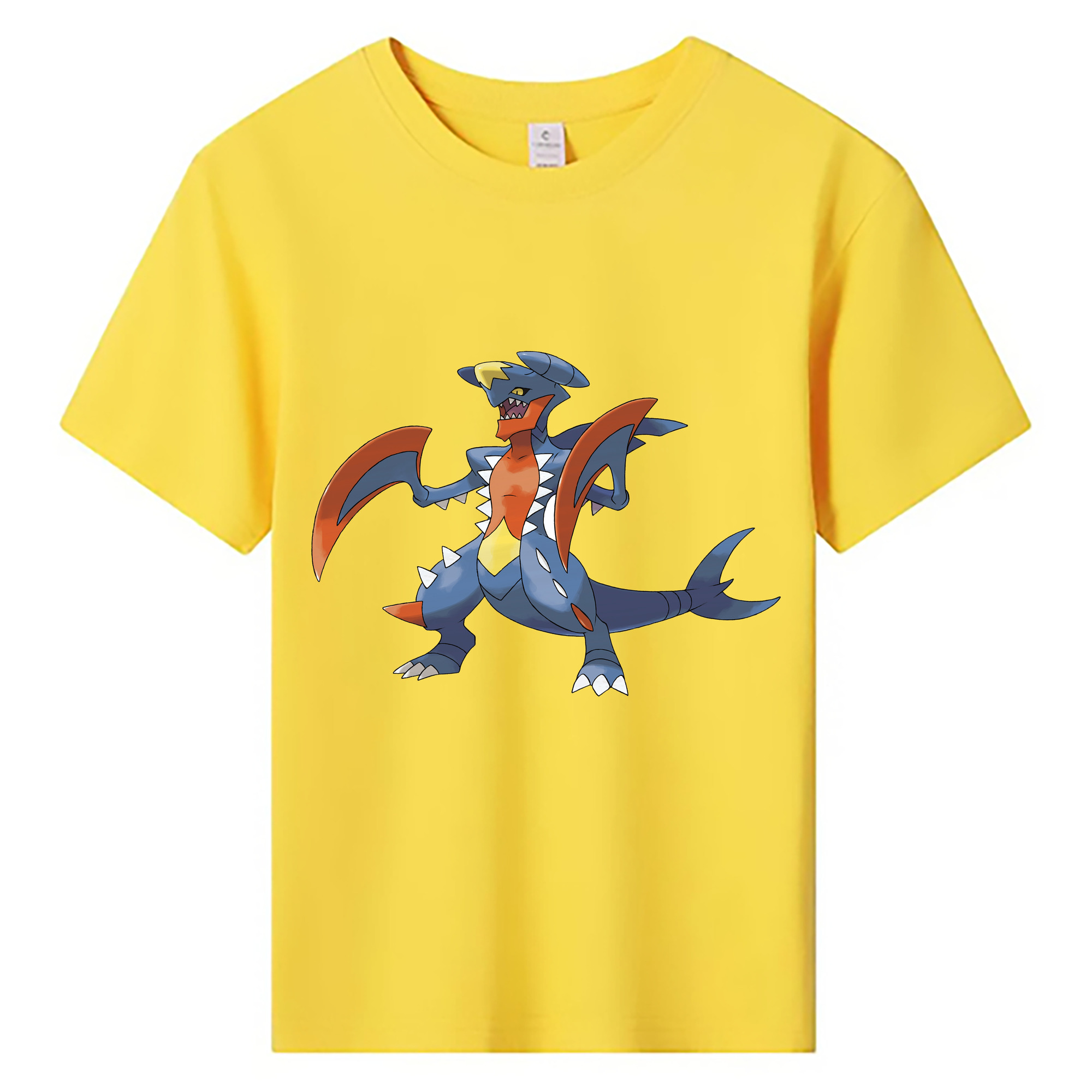 （画像用） ポケットモンスター Pokémon 綿100％キッズTシャツ（フロントプリント）