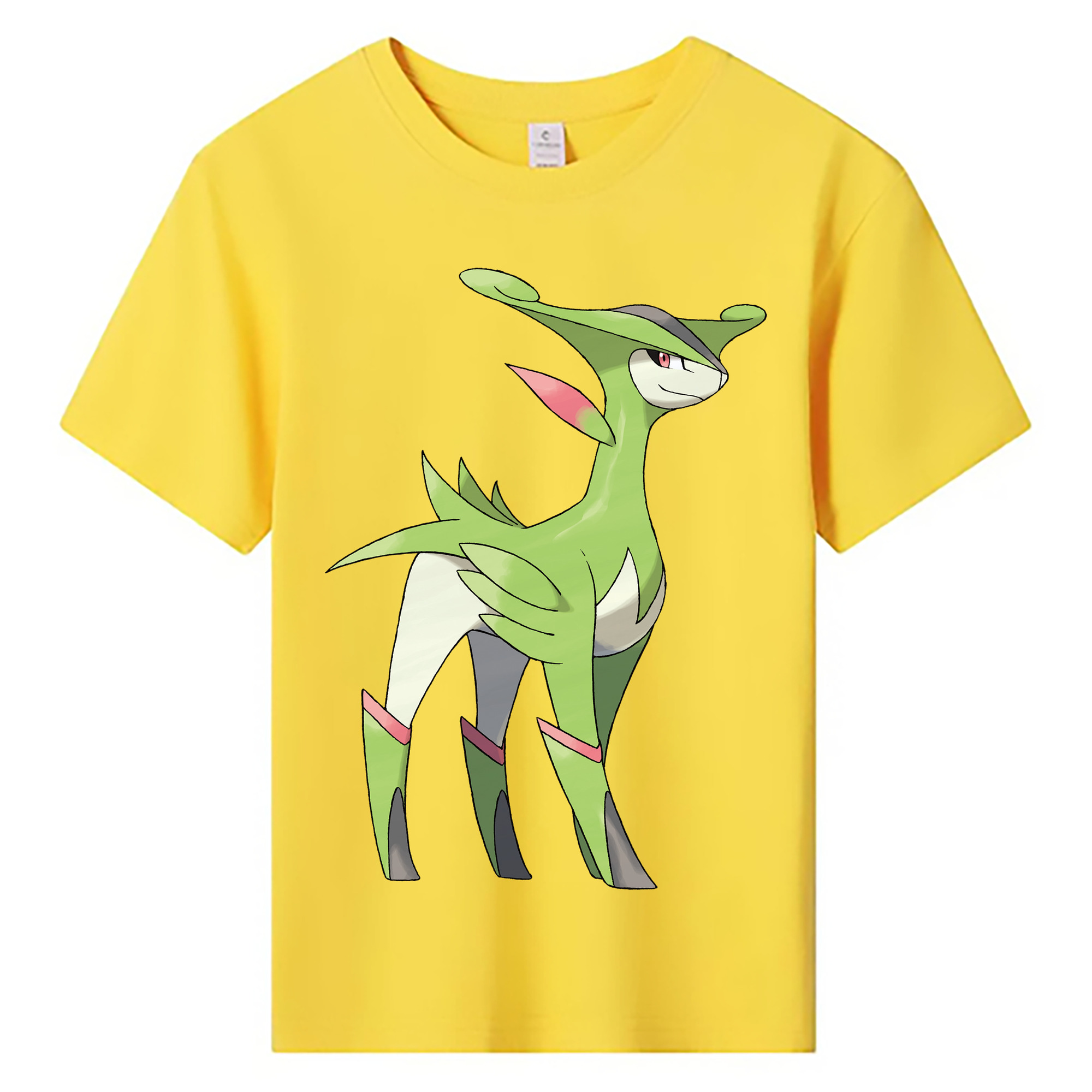 （画像用） ポケットモンスター Pokémon 綿100％キッズTシャツ（フロントプリント）