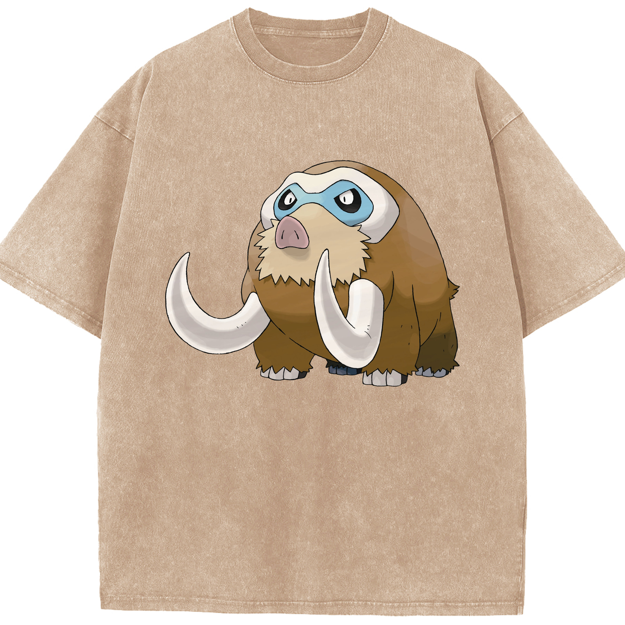 （画像用） ポケットモンスター Pokémon 綿100% ヴィンテージ風 半袖Tシャツ（フロントプリント）