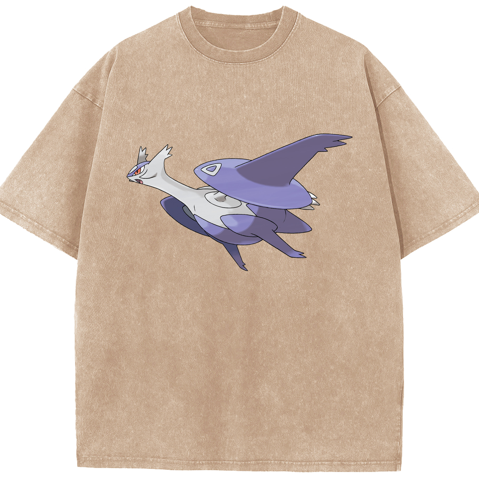 （画像用） ポケットモンスター Pokémon 綿100% ヴィンテージ風 半袖Tシャツ（フロントプリント）