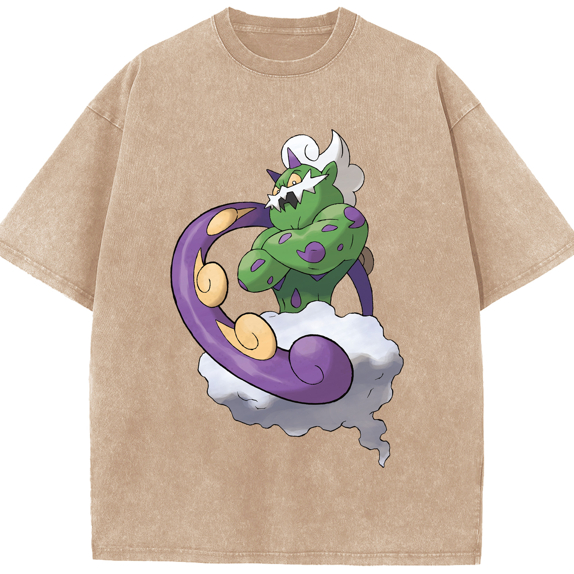 （画像用） ポケットモンスター Pokémon 綿100% ヴィンテージ風 半袖Tシャツ（フロントプリント）